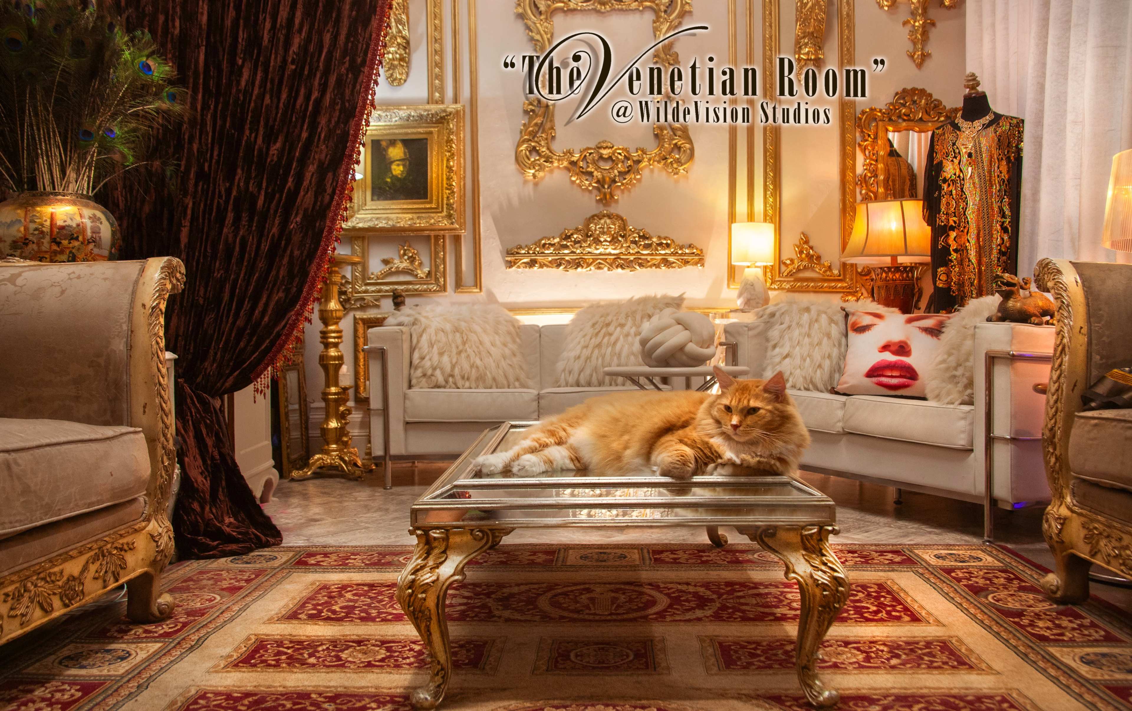The image showcases a lavishly decorated room featuring ornate furniture, rich textiles, and a relaxed orange cat lounging on a glass table.