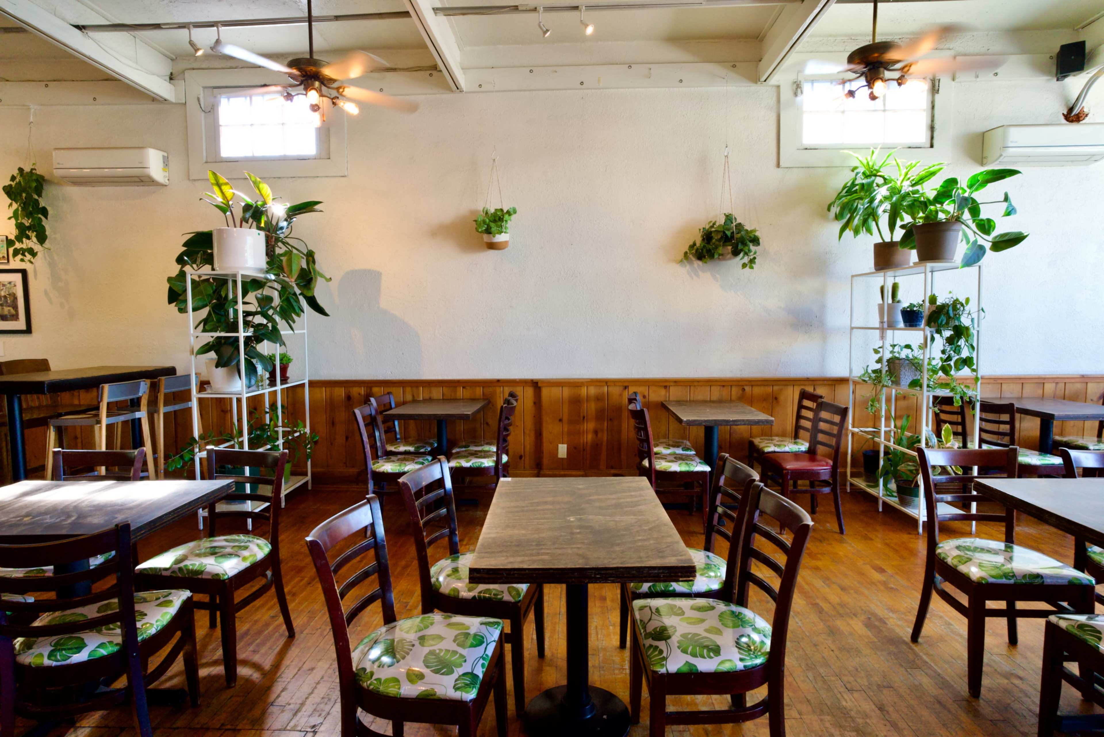 The image shows a cozy cafe interior with wooden floors, several small tables surrounded by chairs, and greenery displayed on shelves and hanging planters.