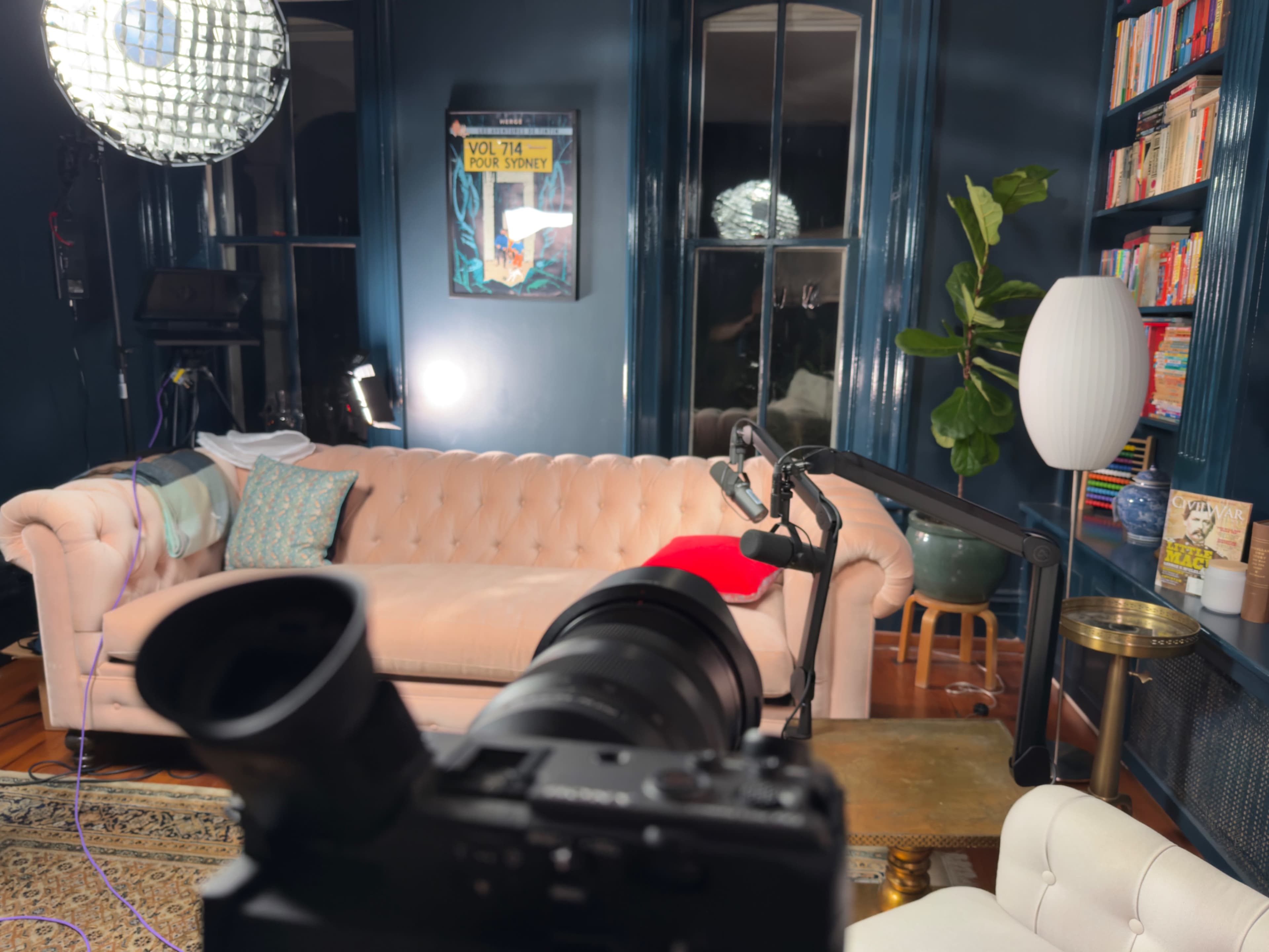 The image shows a well-decorated living room with a pink chesterfield sofa, a large plant, bookshelves filled with books, and a camera positioned in the foreground.