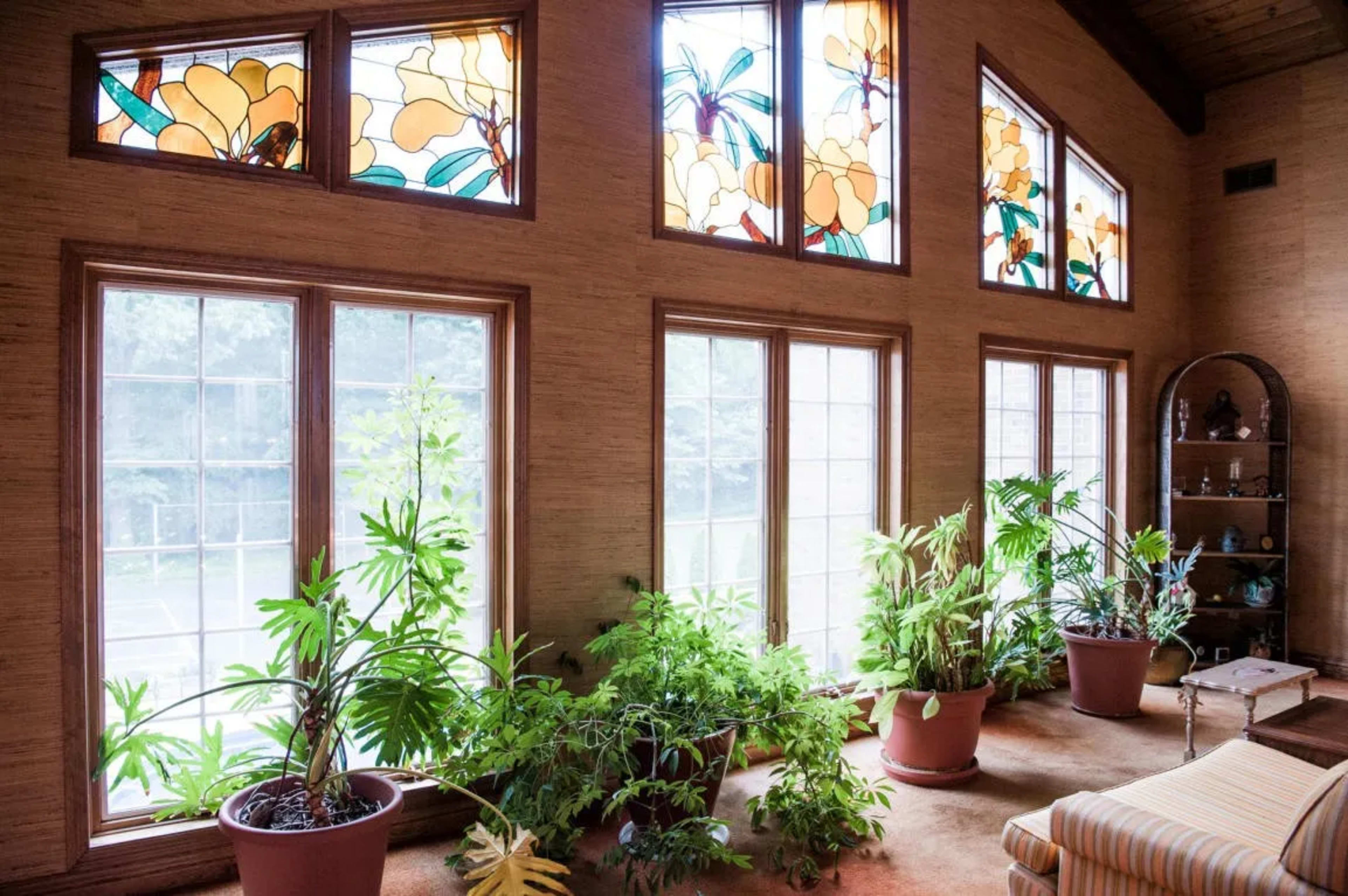 A sunlit room features large stained glass windows and various potted plants along the floor.