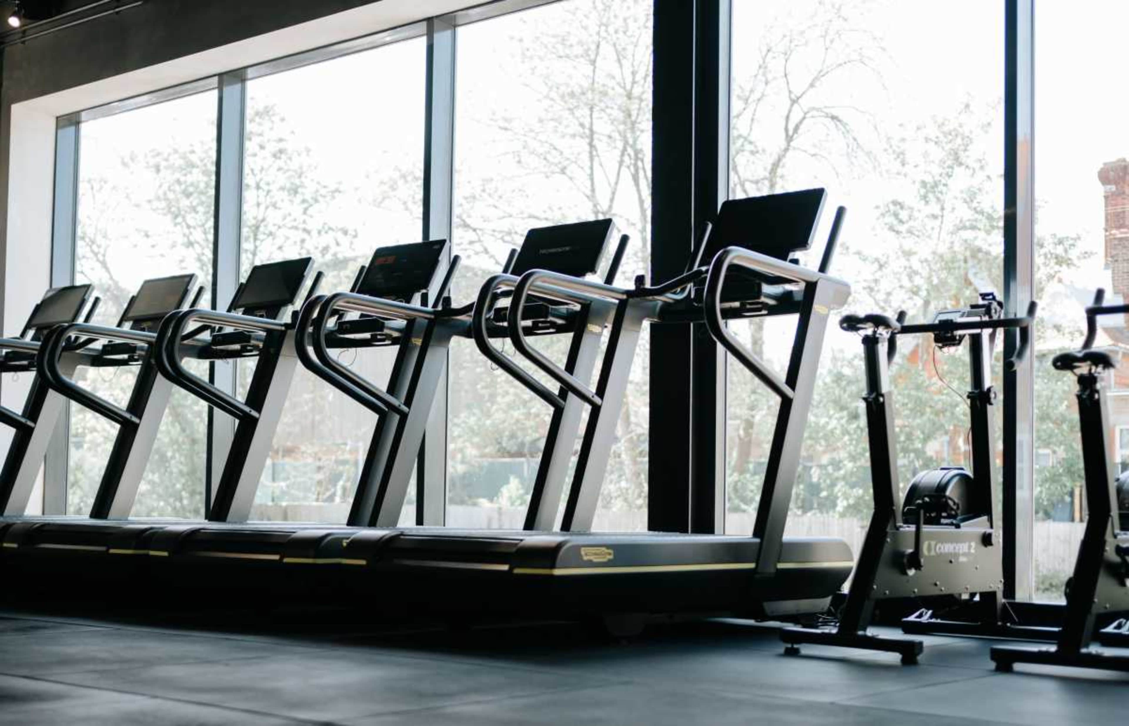 The image shows a row of treadmills arranged against a large window in a gym.