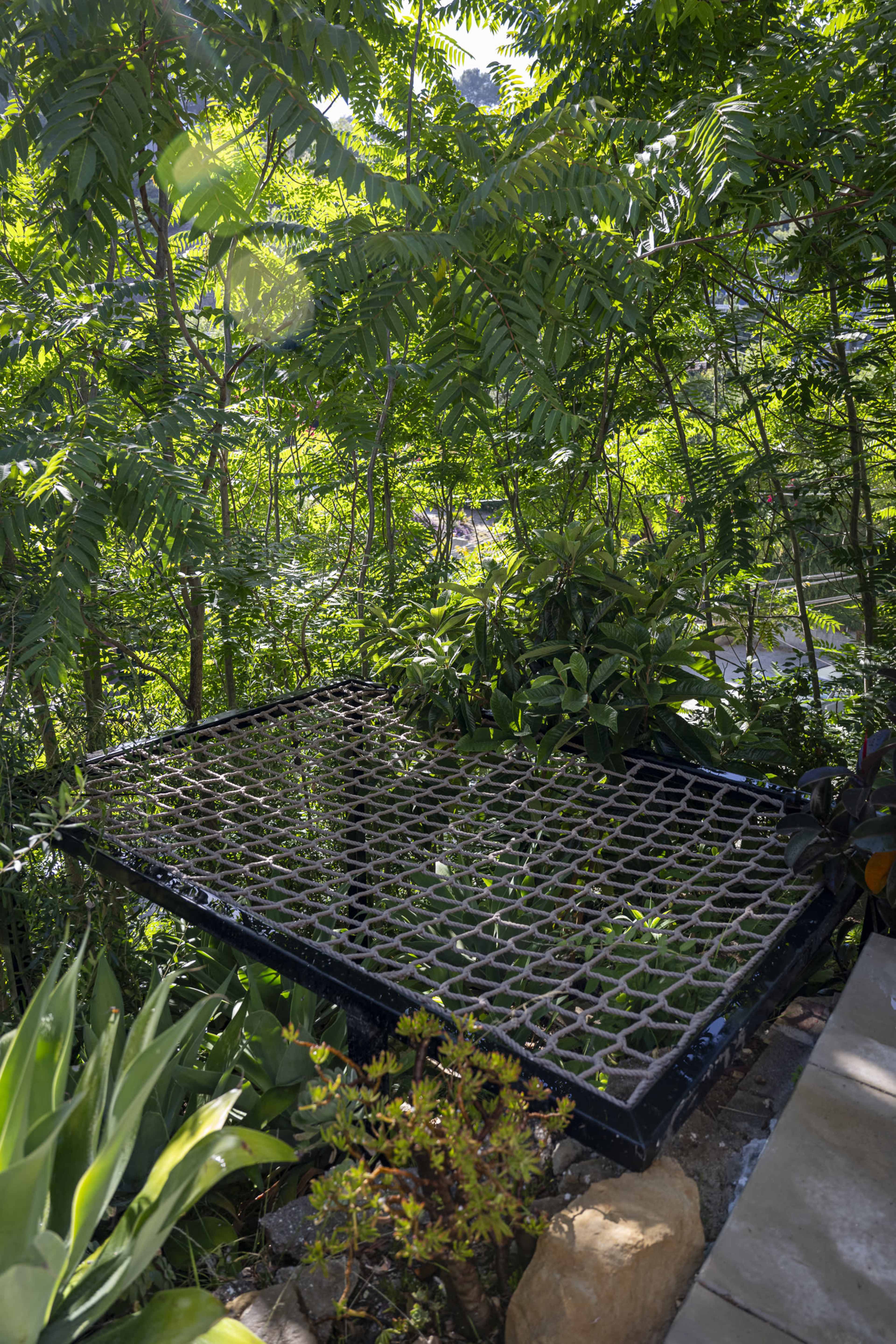 A flat, grid-like metal structure sits partially hidden among lush greenery and plants.