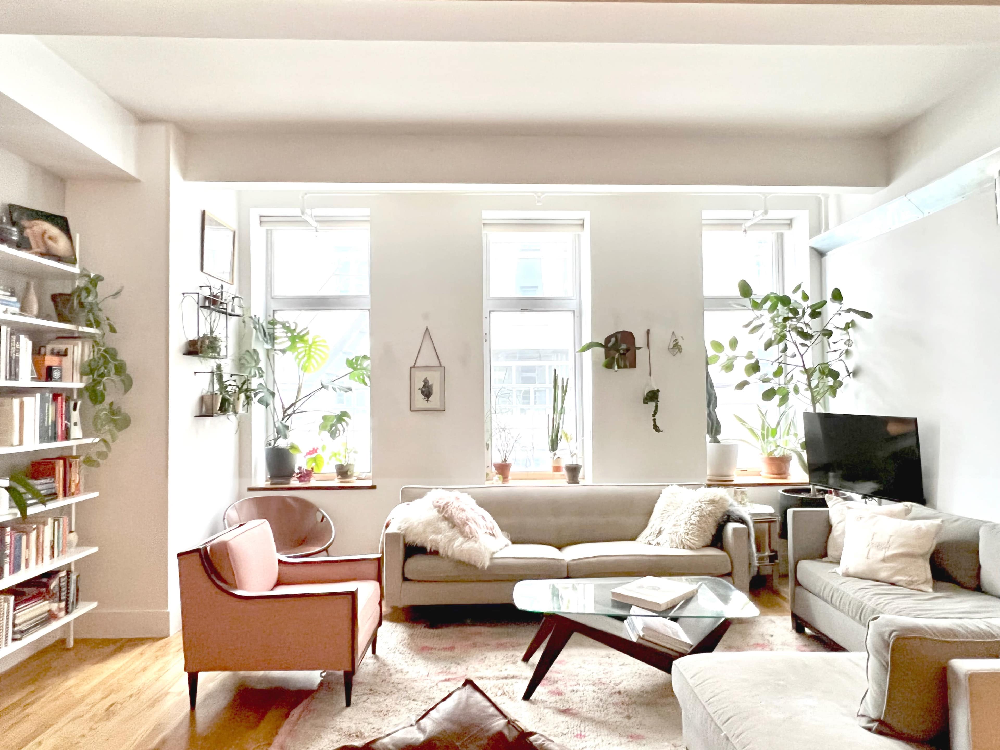 The living room features a light-filled space with two sofas, a coffee table, a television, and several plants against white walls and shelves filled with books.