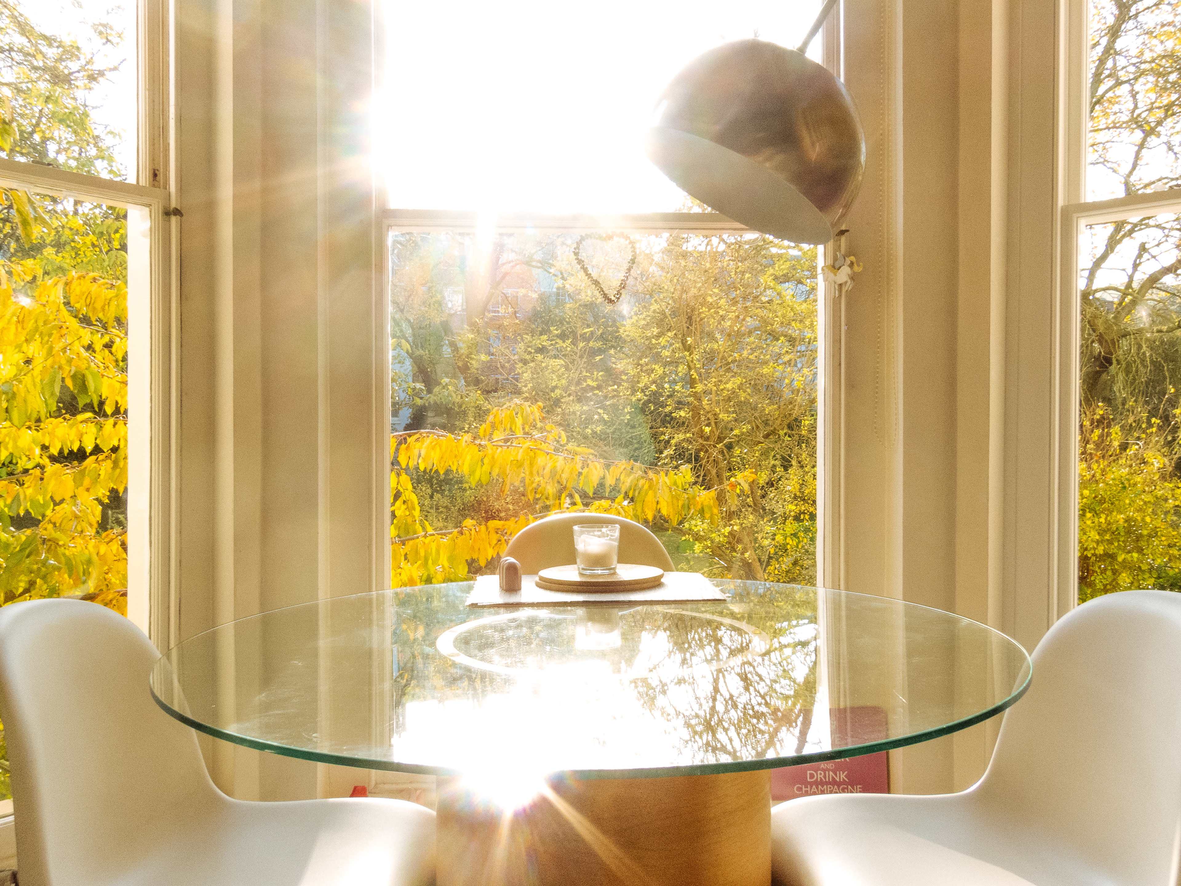 A glass dining table sits by a window with sunlight streaming in, illuminating yellow autumn leaves outside.