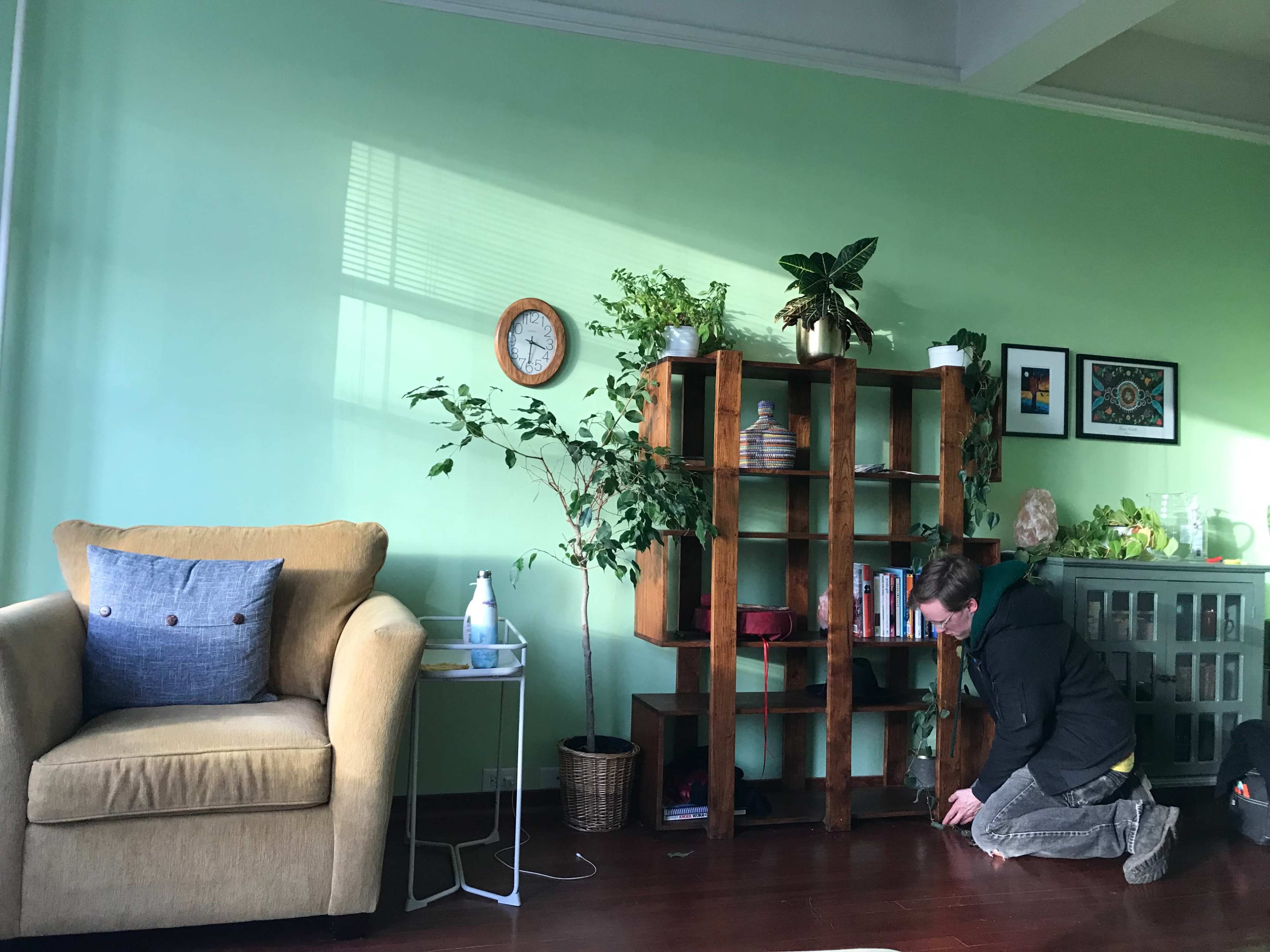 A person is arranging books and plants on a wooden shelf in a room with green walls and a beige armchair.