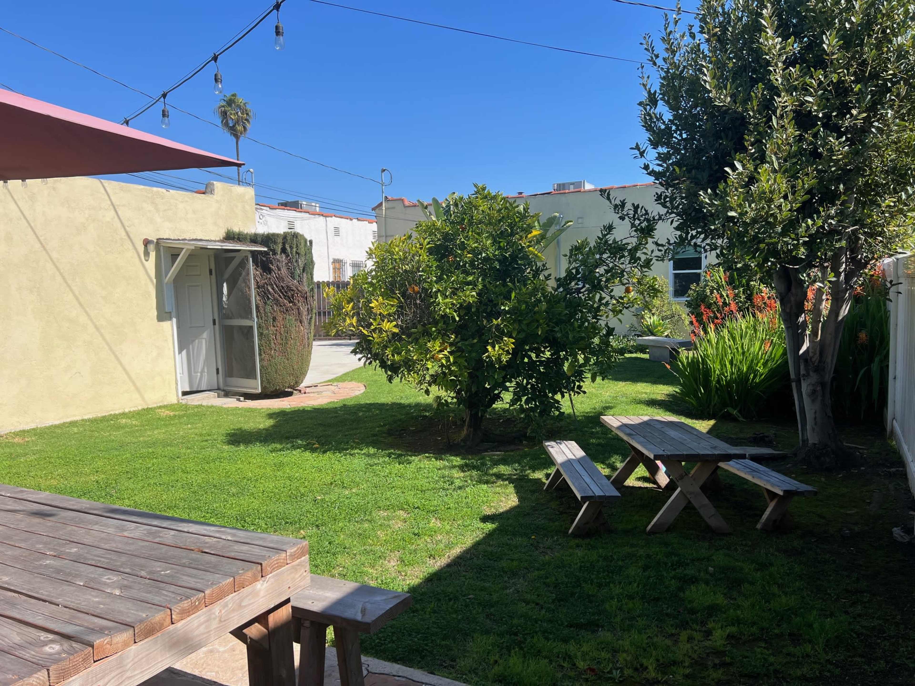 The image shows a grassy backyard with a couple of wooden picnic tables, a small shed, and various plants under a clear blue sky.