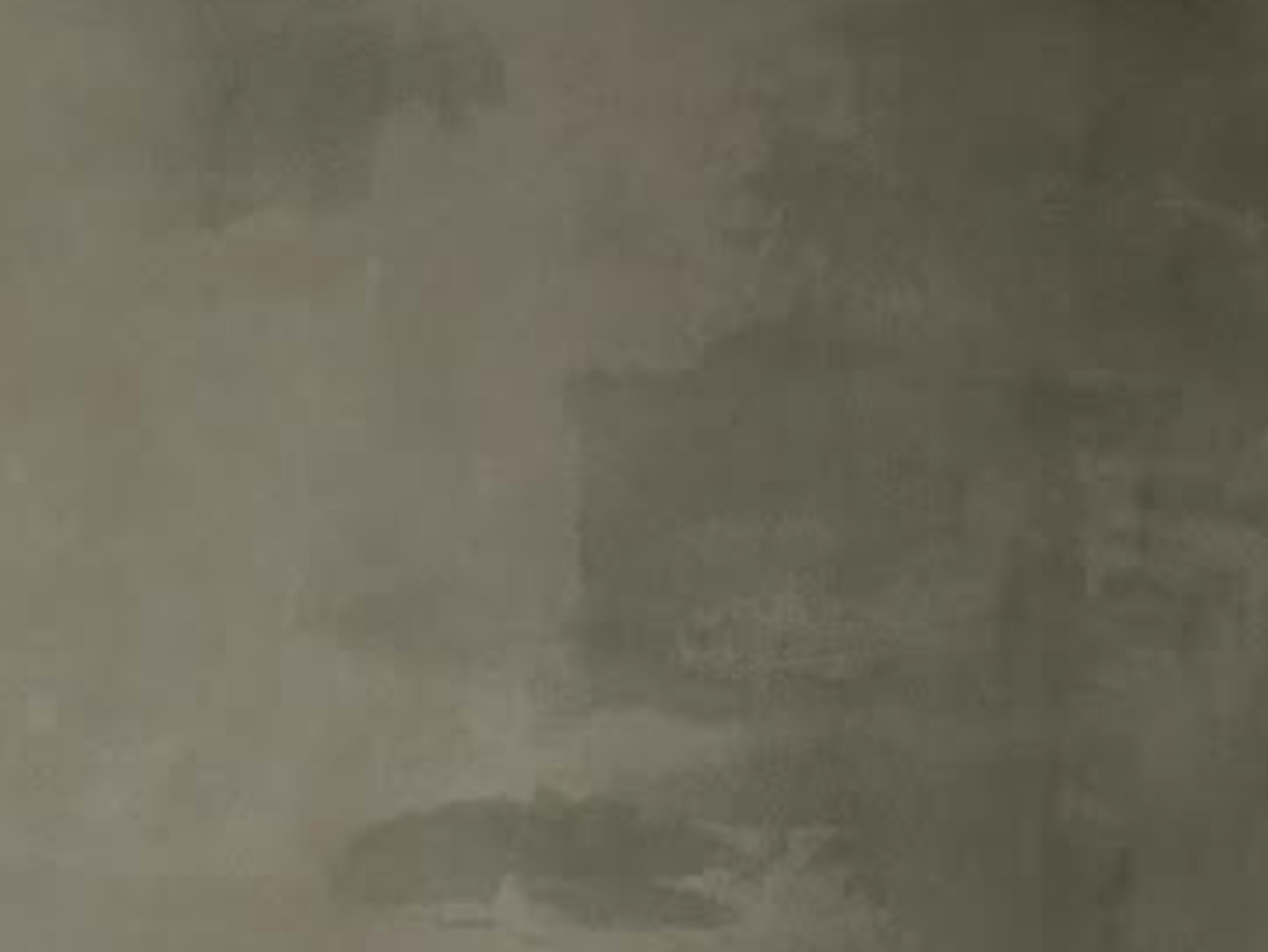 Hand-Painted Canvas Backdrop *Sage Green*