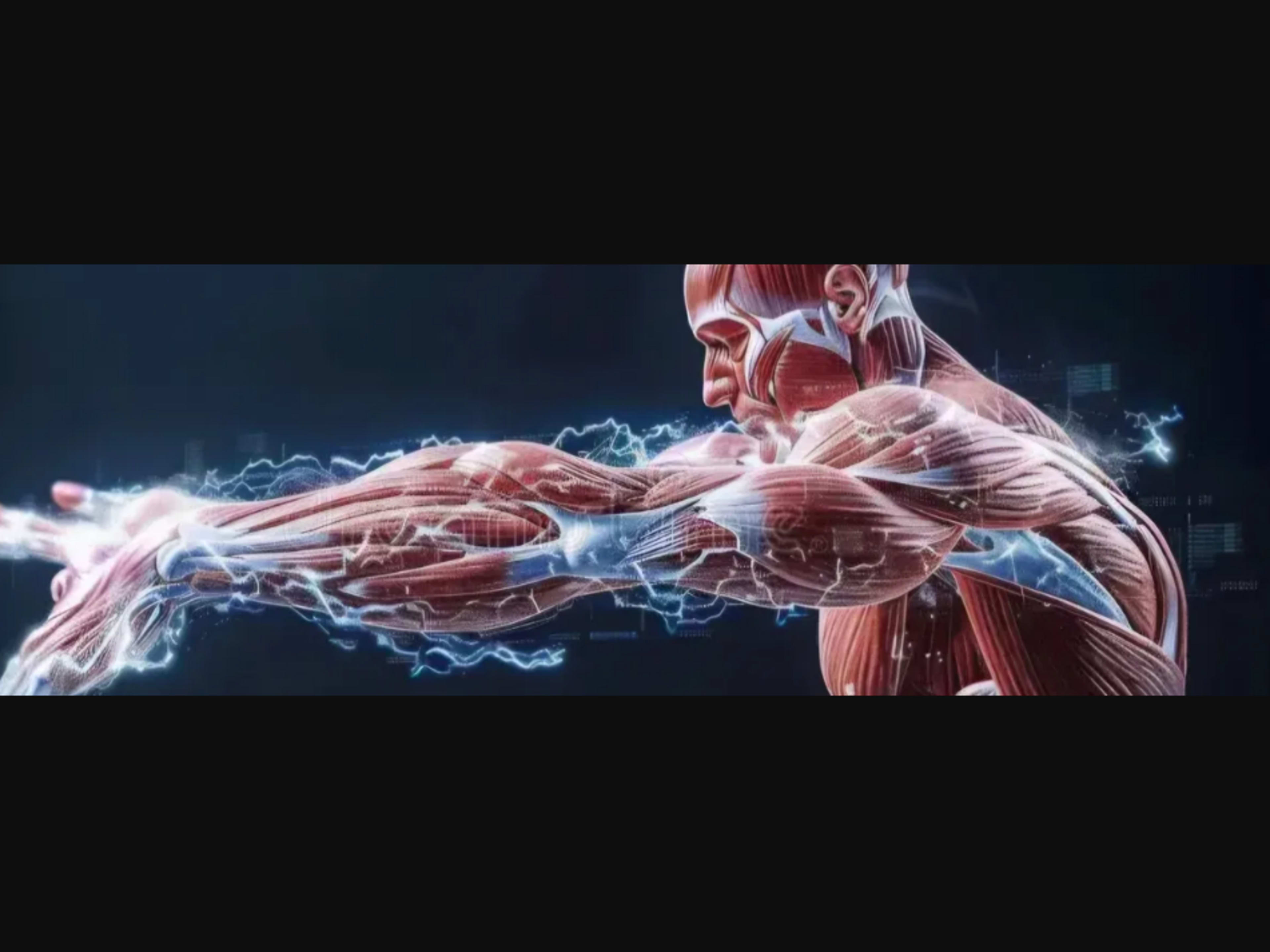 Massage Therapist - By Loren, owner of ZenBodyShop