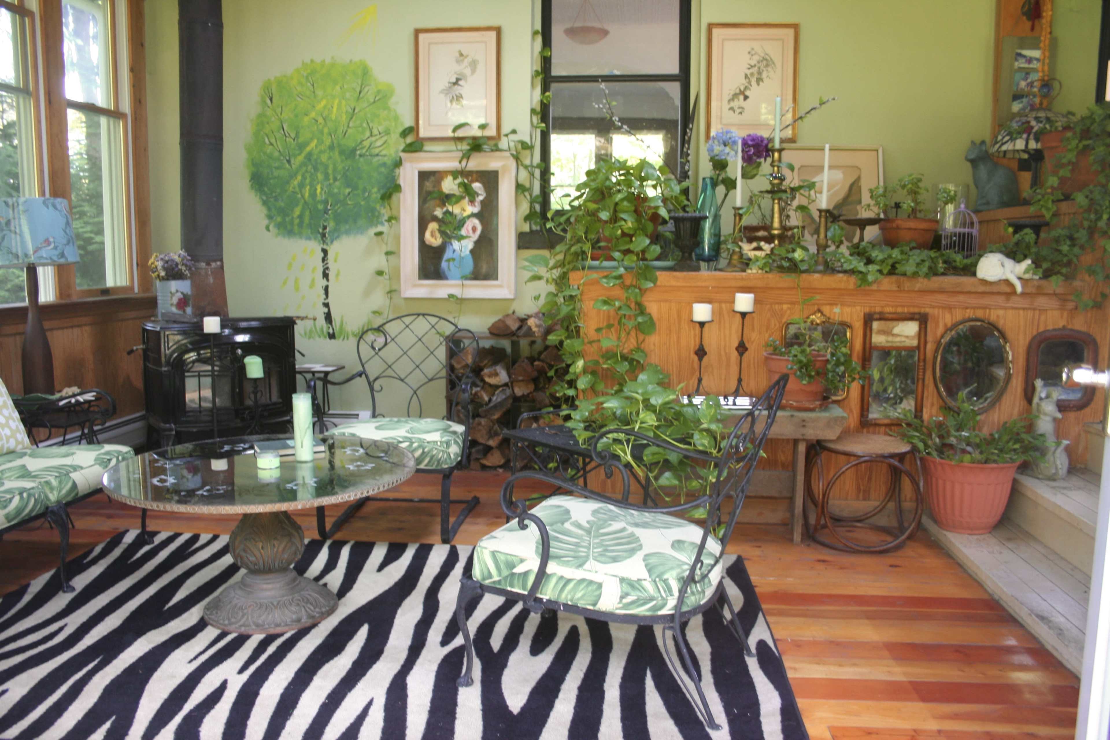 A sunlit indoor sitting area with green walls, a zebra-patterned rug, metal chairs with floral cushions, a decorative table, and various plants along a wooden wall.