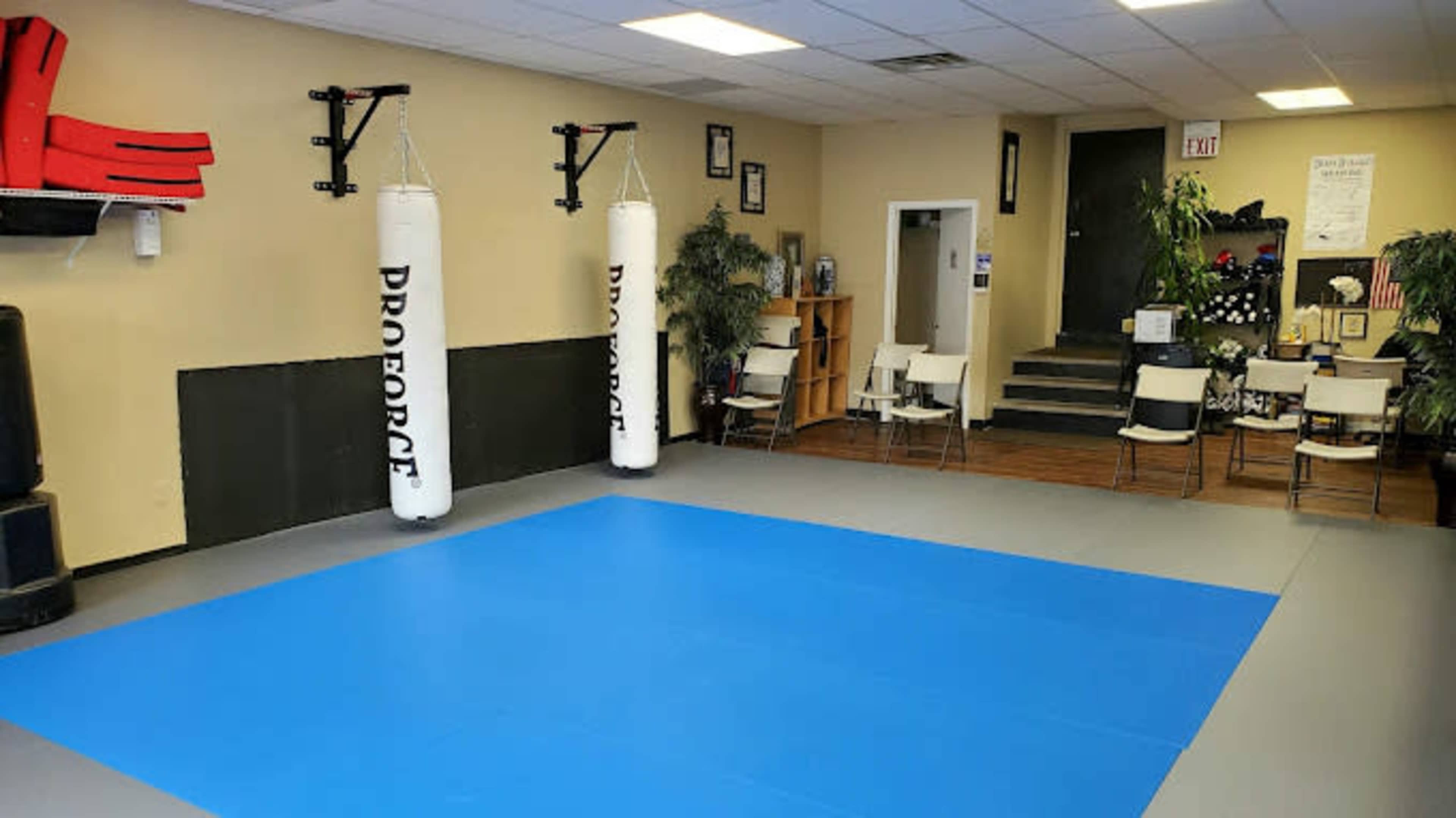 Fitness Studio with Mats Available in the Edison Clara Barton Downtown Area Image in Edison, Edison, NJ