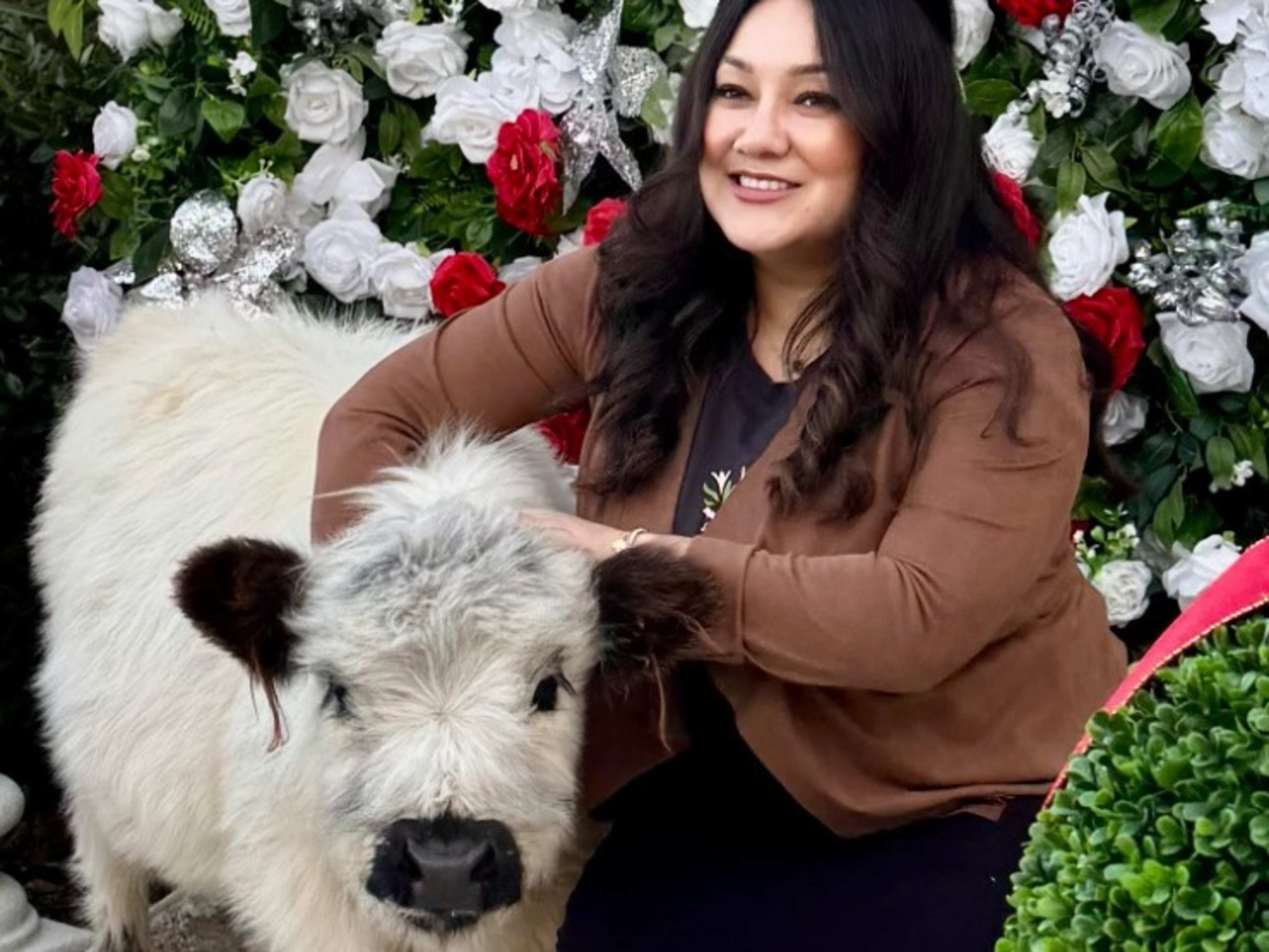 Farm Animal Encounter for up to 100