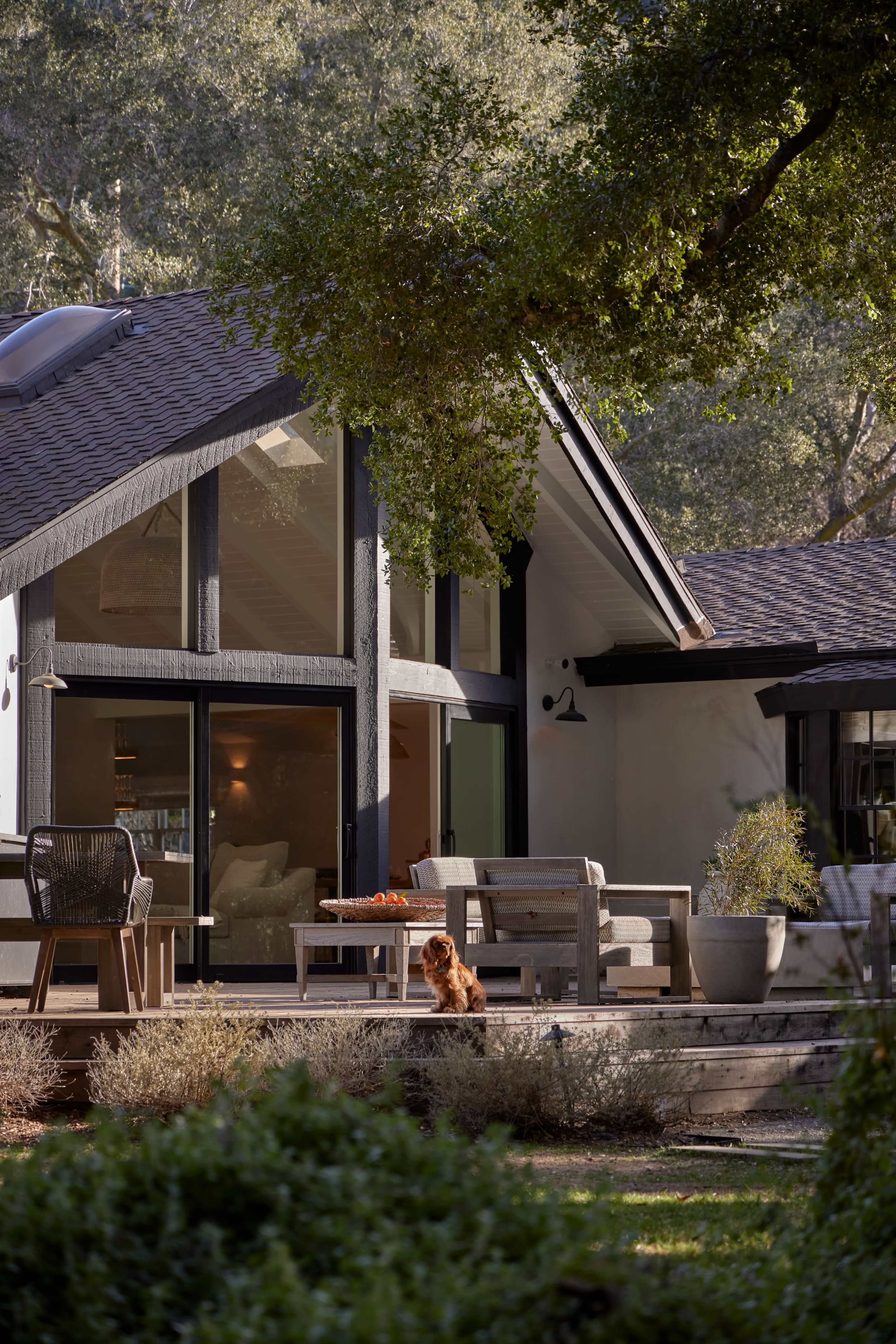A modern home with large windows features outdoor seating and a dog resting on the porch.