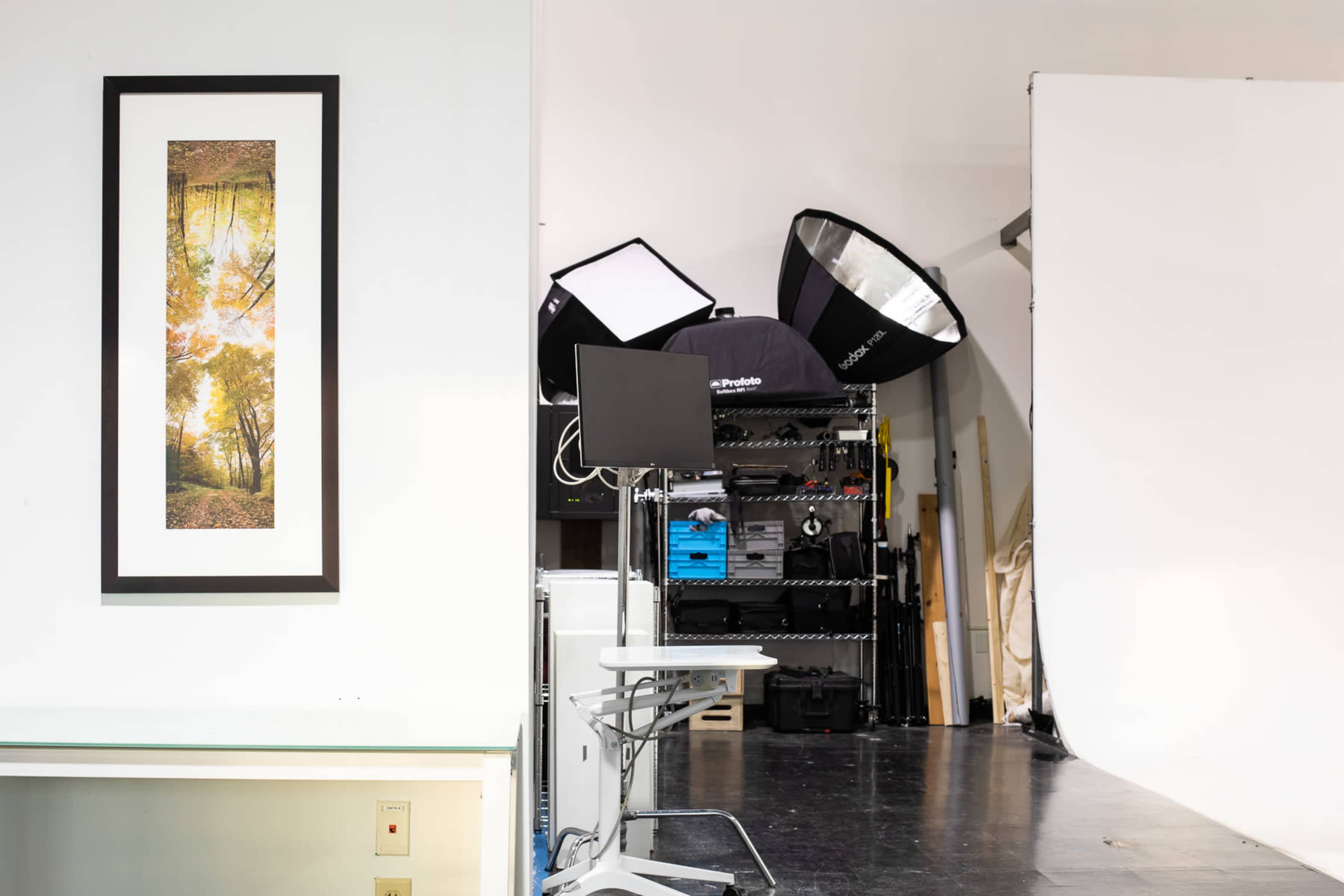 A studio setup with a framed picture of a forest on the left and photographic lighting equipment in the background.