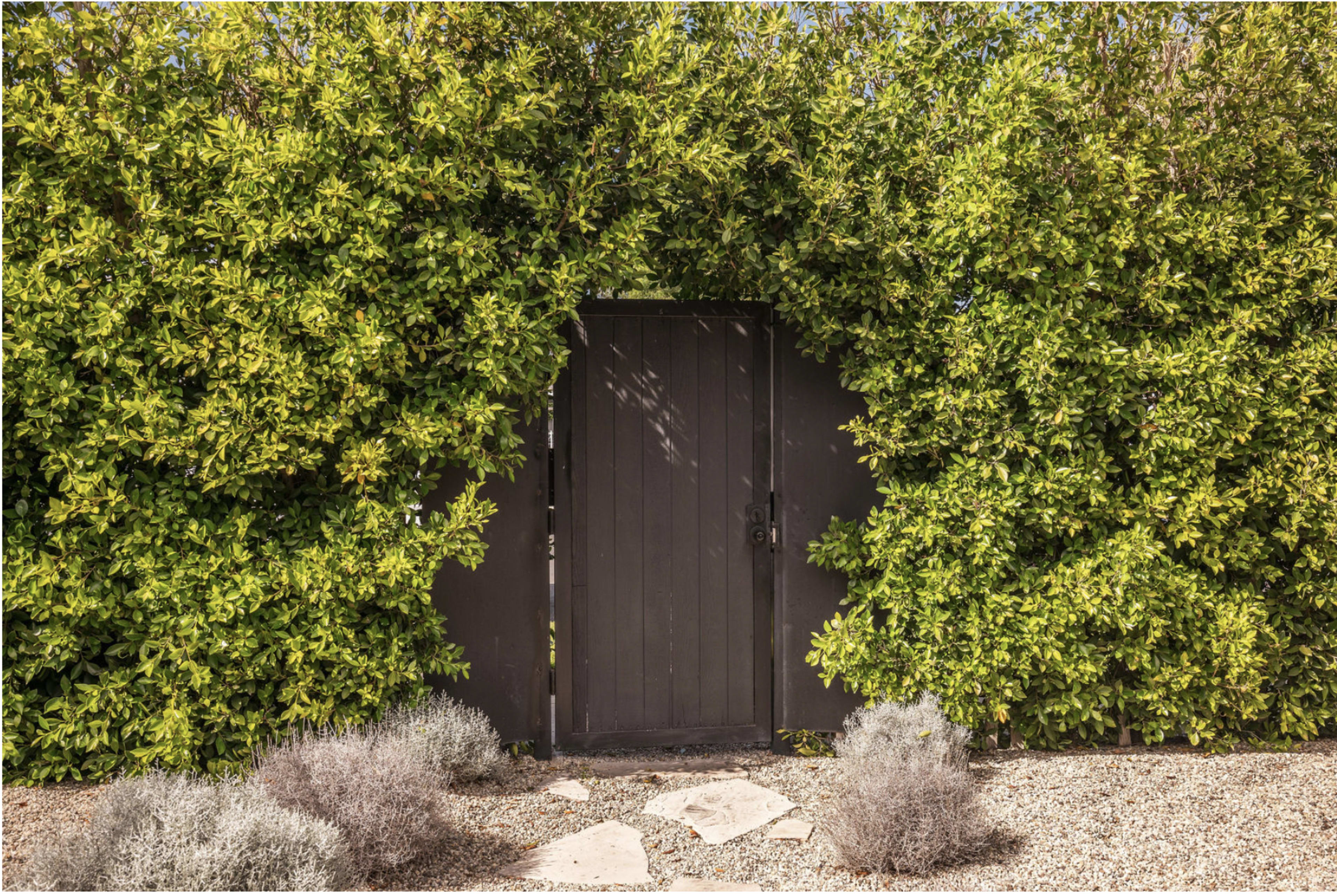 A dark wooden gate is framed by dense green foliage and set against a gravel path.