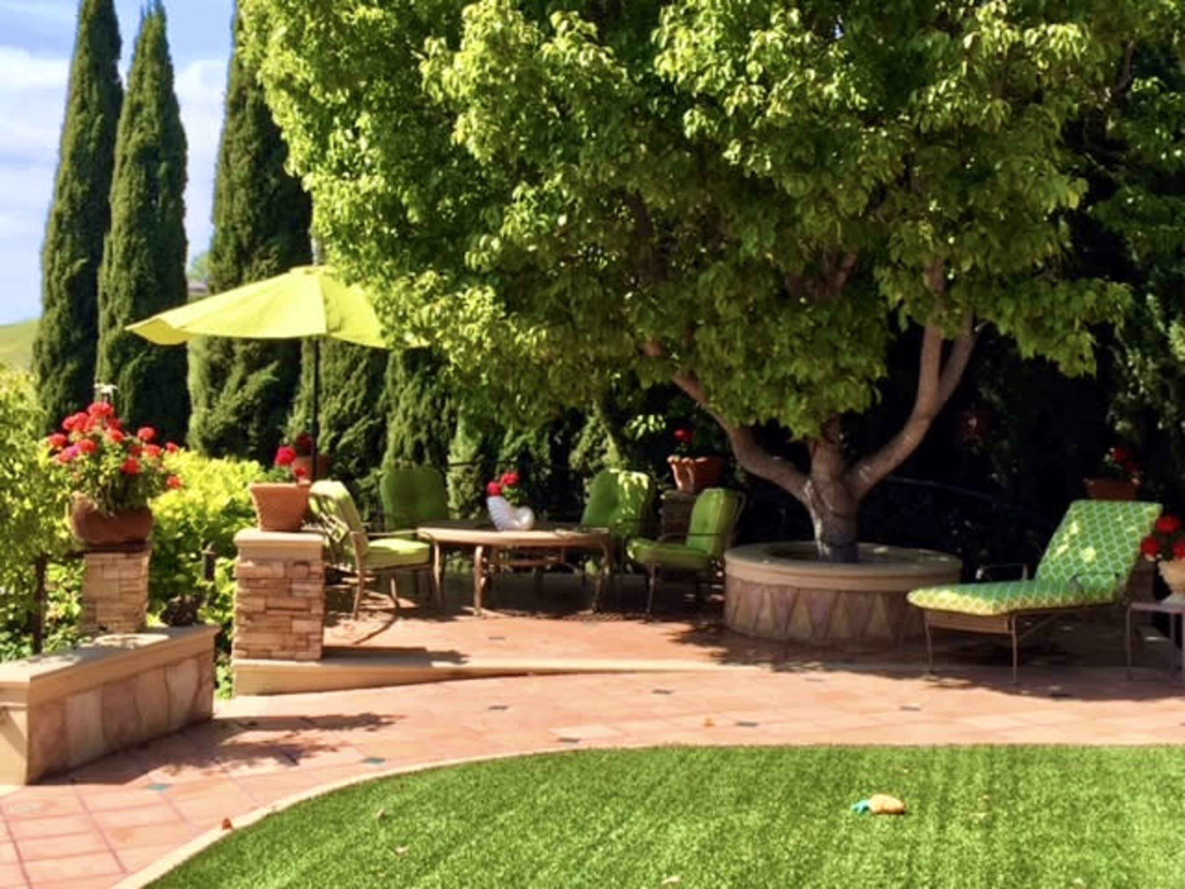 A shaded patio area with green furniture, potted plants, and a table under a large tree.