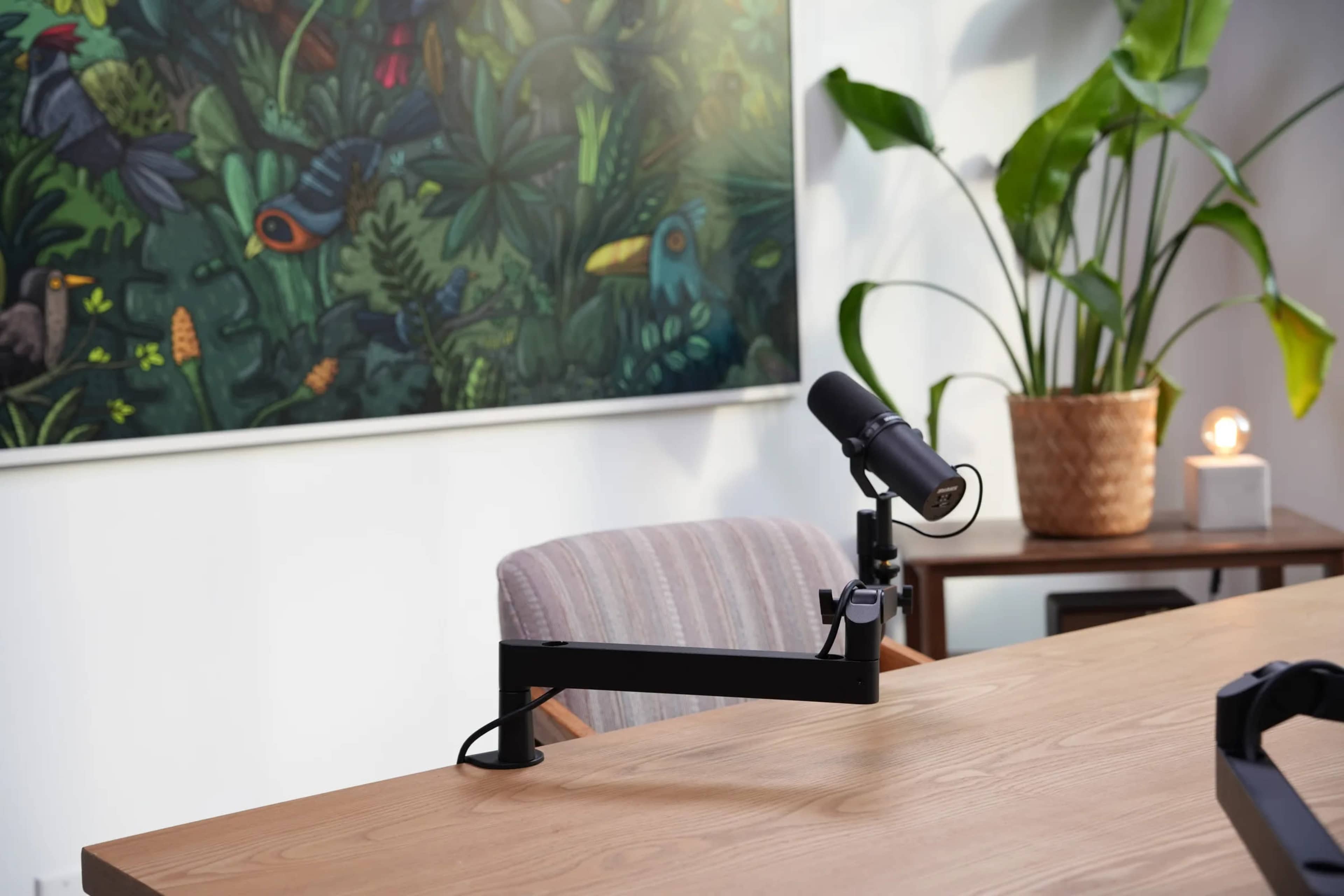 The image features a workspace with a microphone on a black arm attached to a wooden desk, accompanied by a patterned chair and a large, colorful plant in the background.