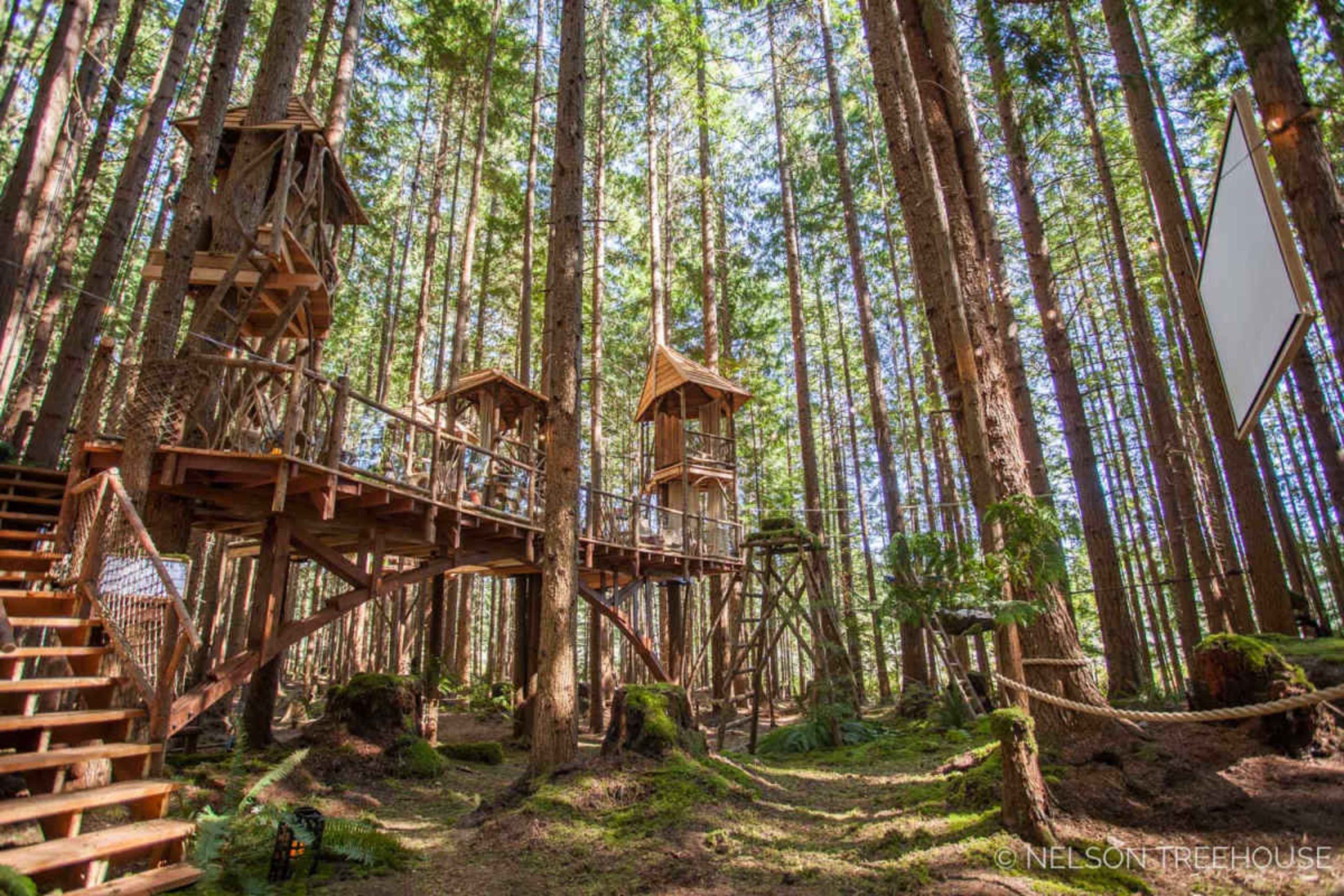 The image depicts a wooden treehouse structure elevated among tall trees in a forest setting, with stairs leading up to it.