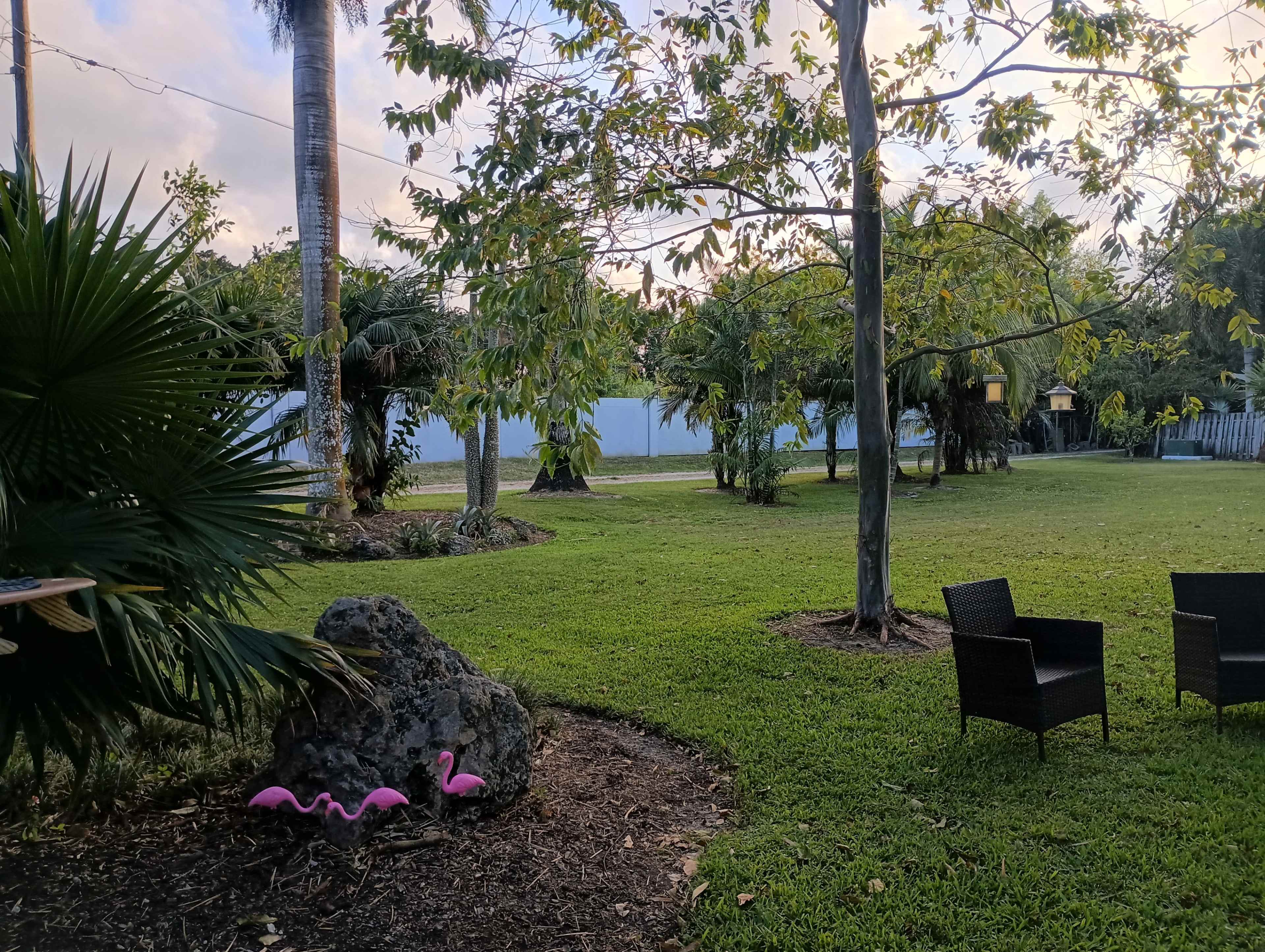 A grassy backyard features a rock formation, two pink flamingo decorations, and two black chairs surrounded by trees.