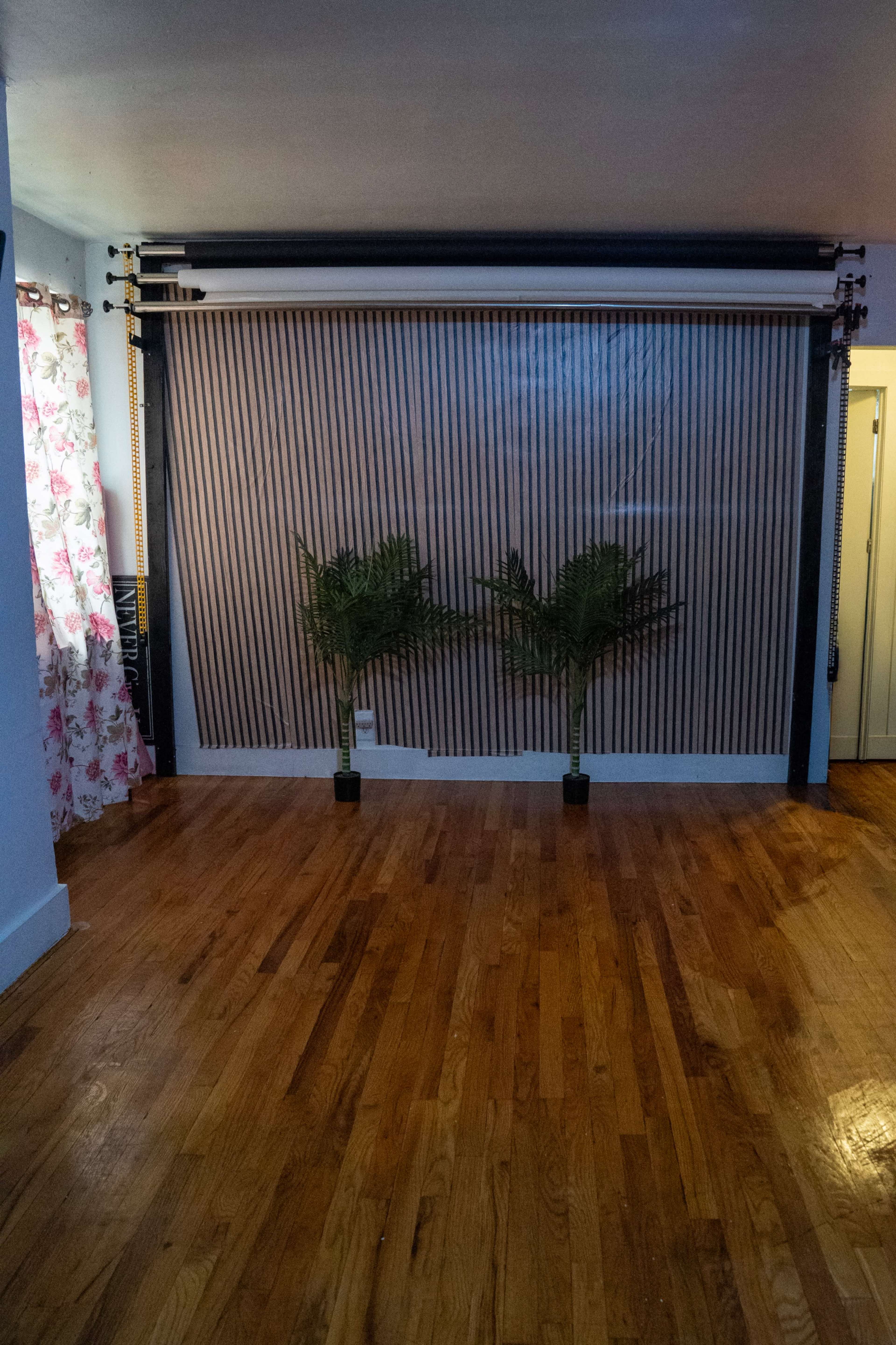 The image shows a room featuring two potted ferns in front of a vertical striped backdrop and a partially open door on the right.