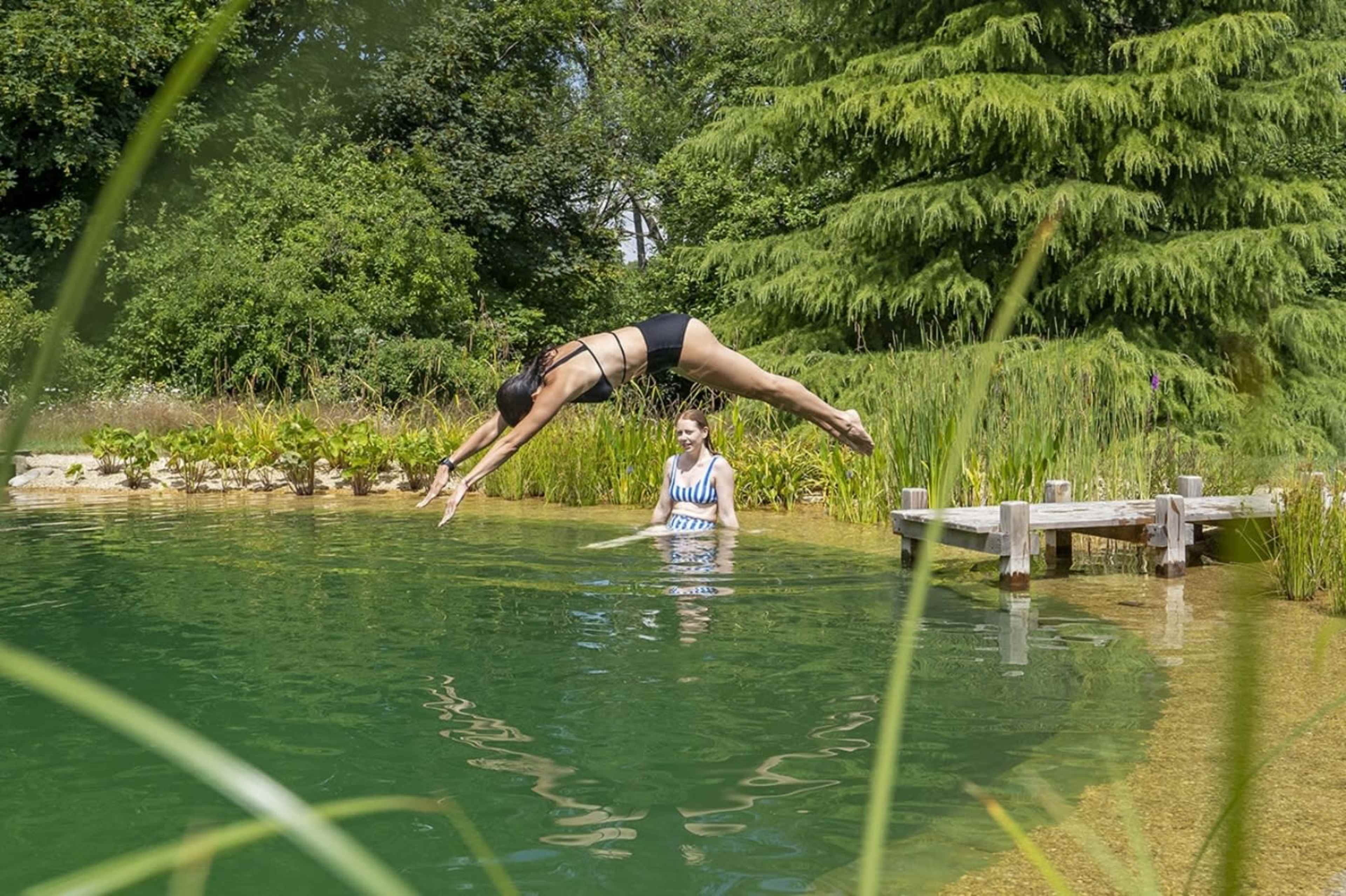 A person in a black swimsuit dives into a green natural swimming pond while another person stands in the water nearby.