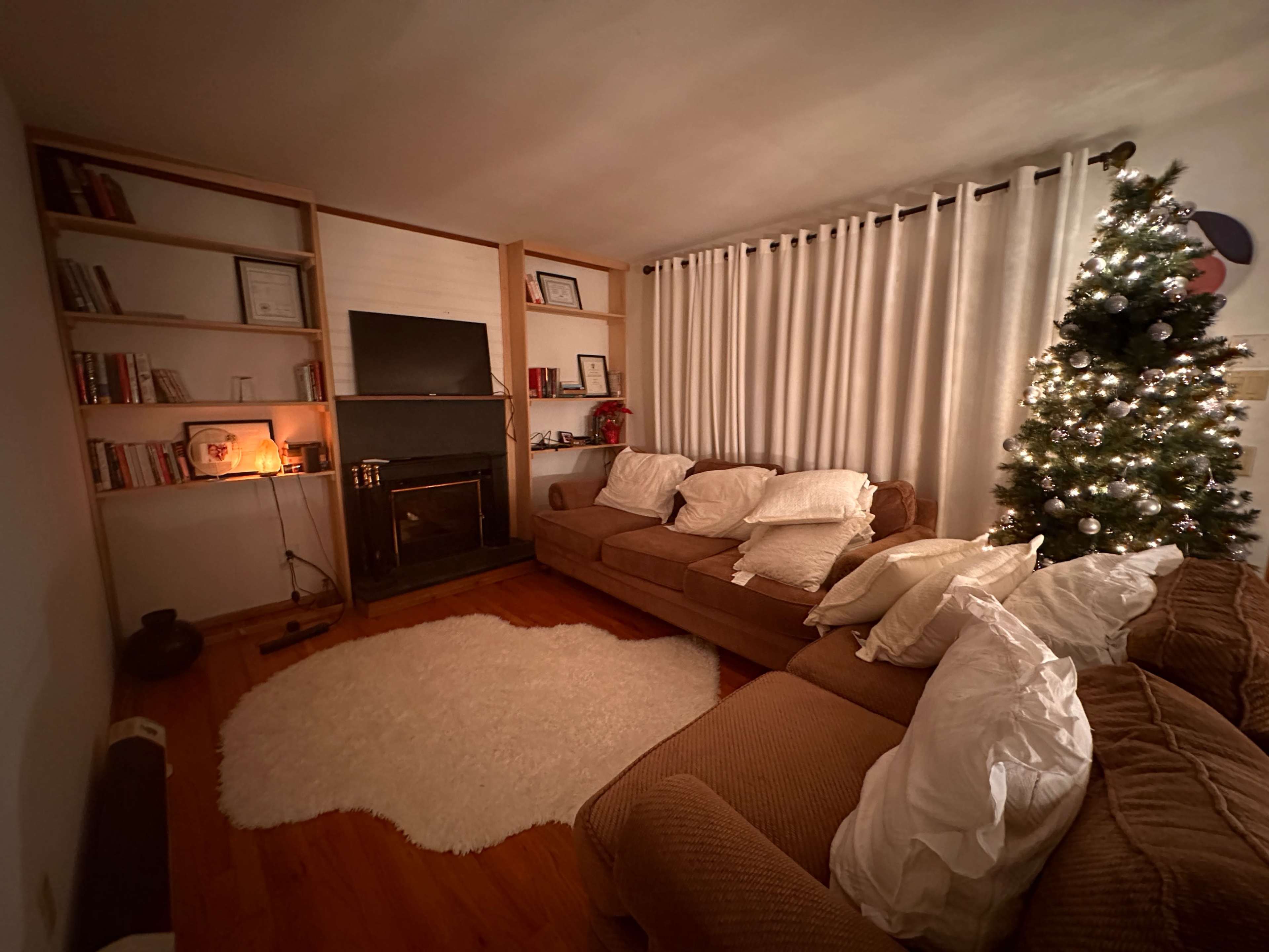A cozy living room with a sofa, a fireplace, a bookshelf filled with books, and a Christmas tree adorned with lights in the corner.