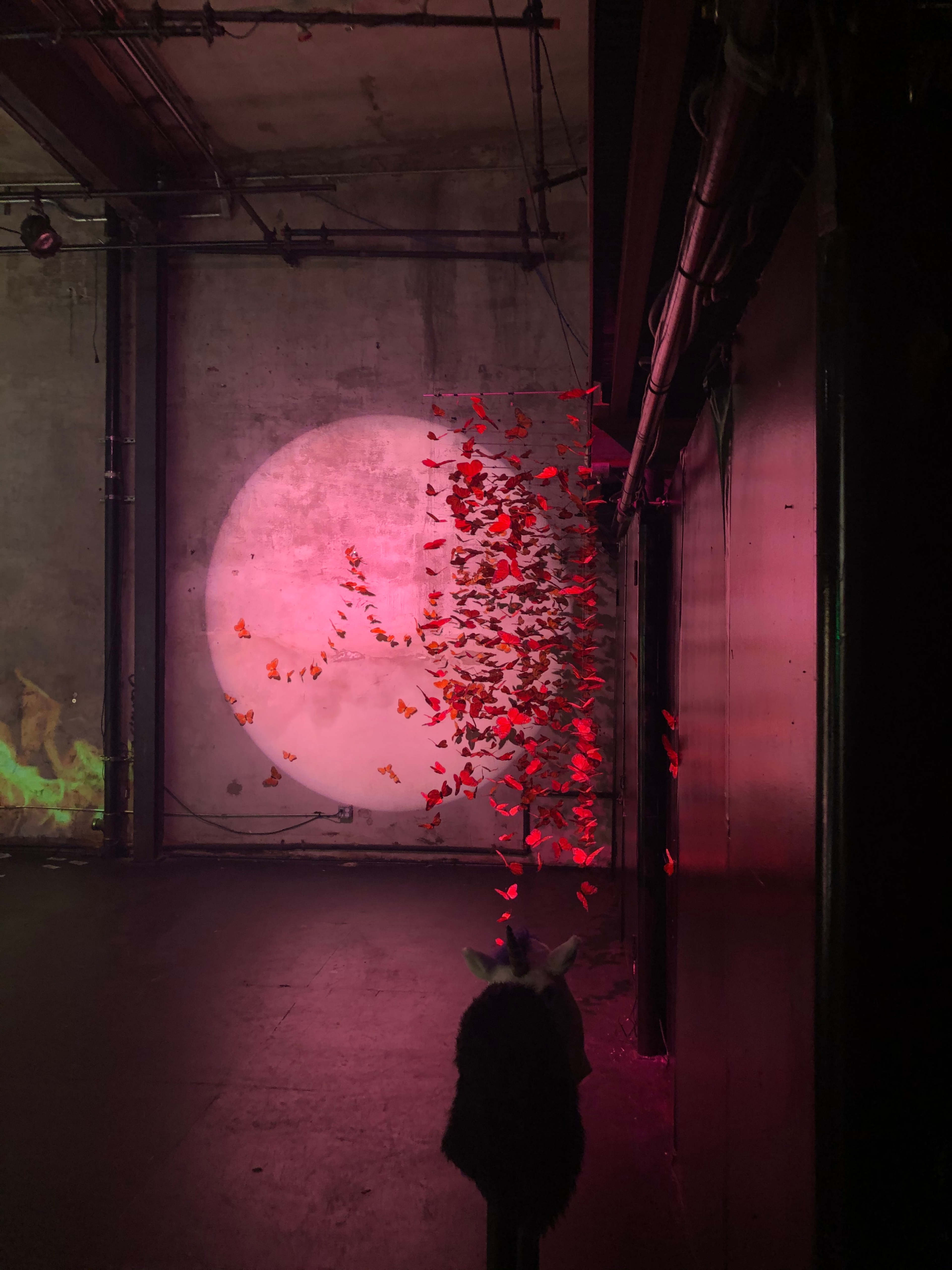 A dark industrial space with a wall featuring a projection of a large circle, accompanied by a swirling mass of red butterflies that seem to rise from the ground.