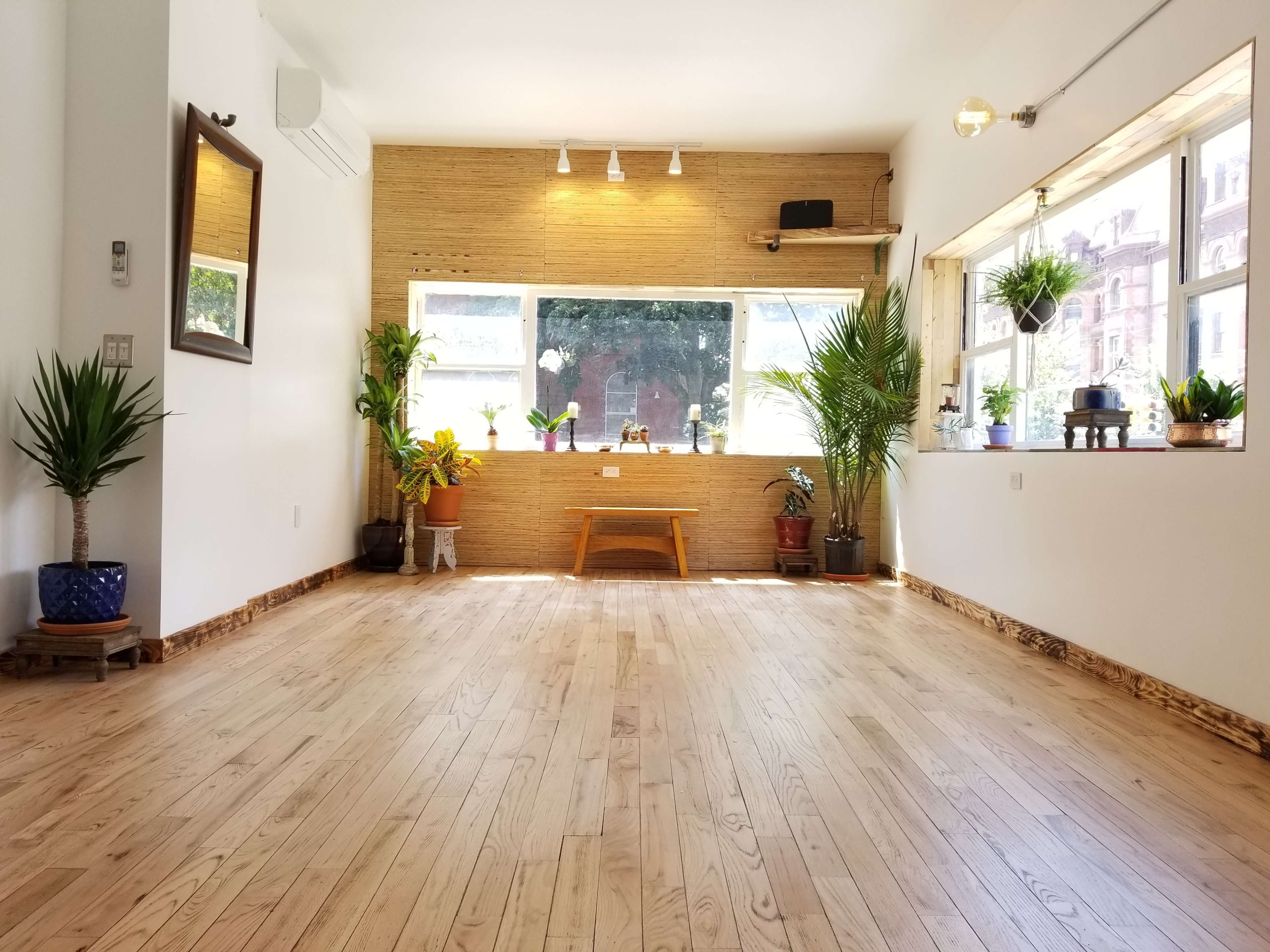 A spacious, well-lit room with wooden flooring, potted plants, and large windows allowing natural light to enter.