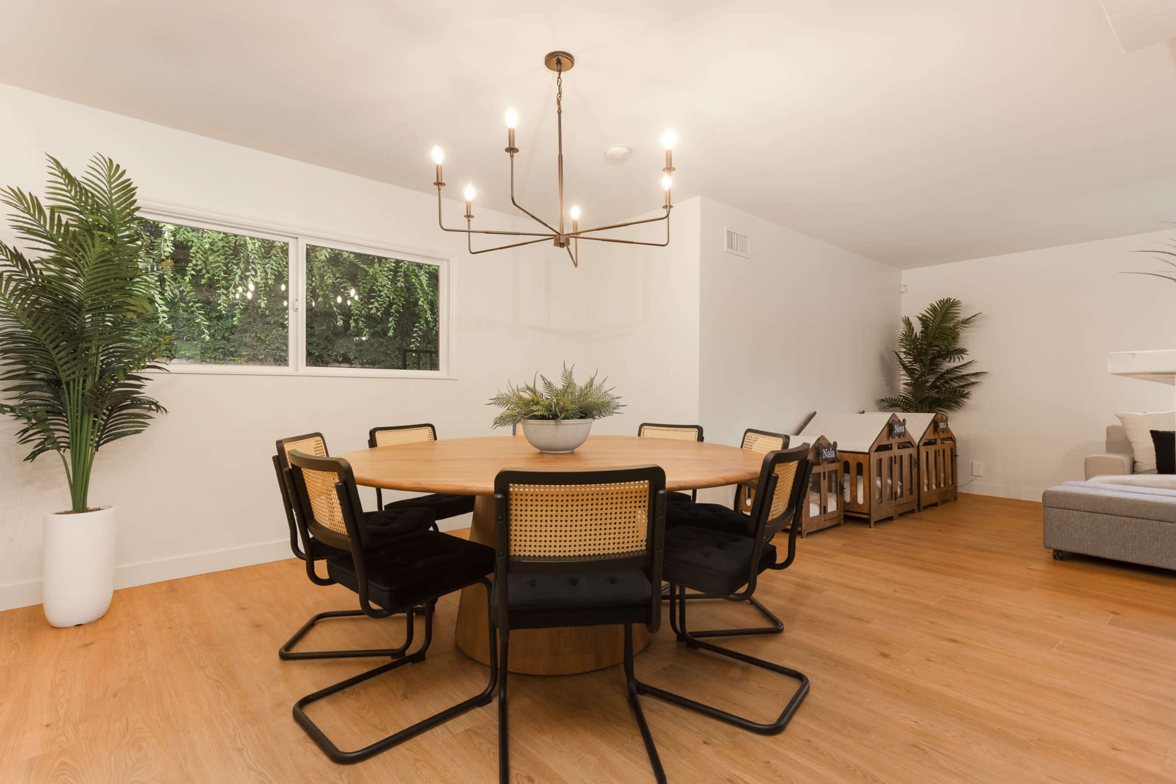 A round wooden dining table surrounded by six black chairs is illuminated by a modern chandelier in a well-lit room with large windows and indoor plants.