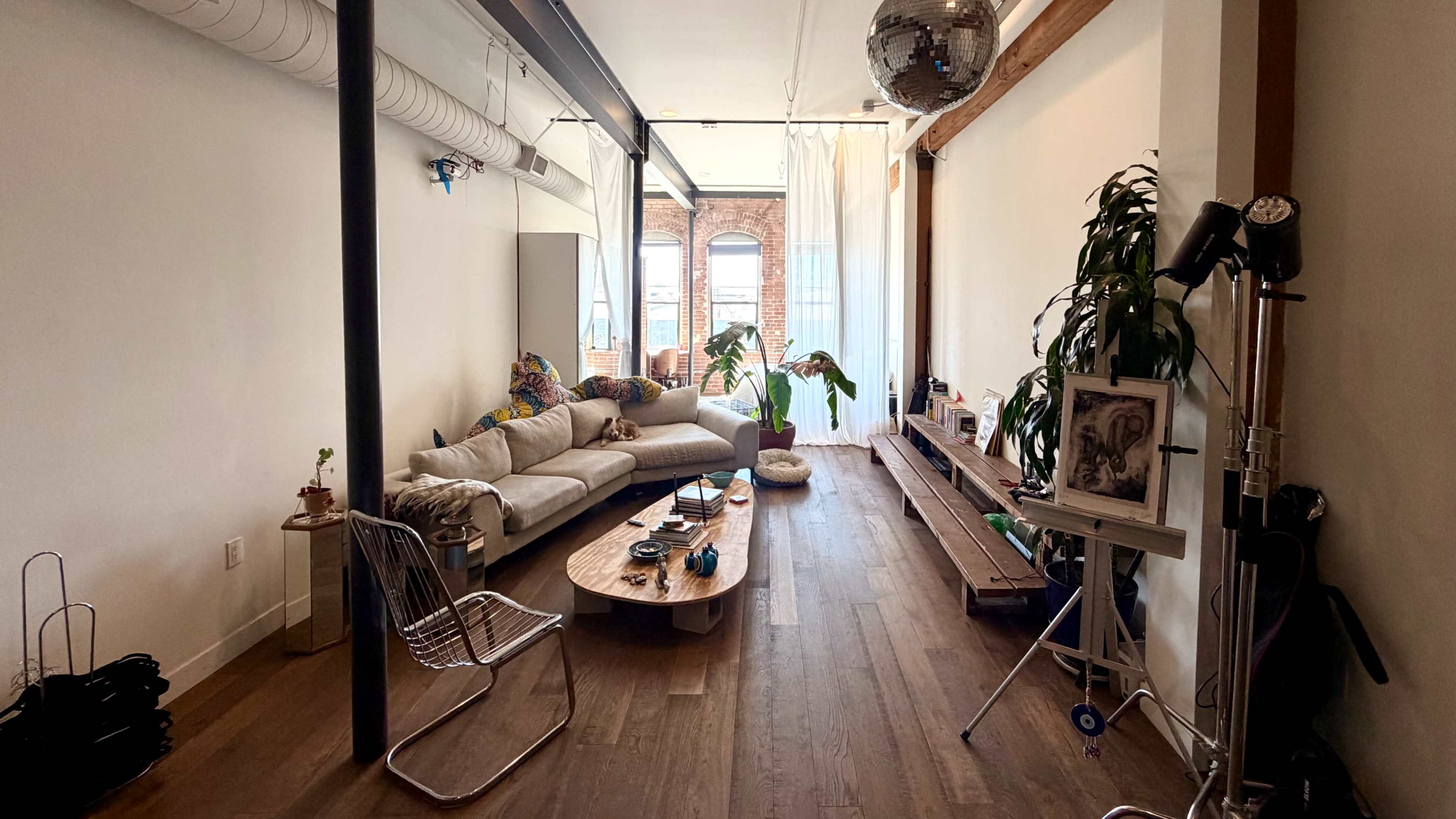 The image shows a spacious living area with a large couch, a wooden coffee table, and plants, illuminated by natural light from a window.