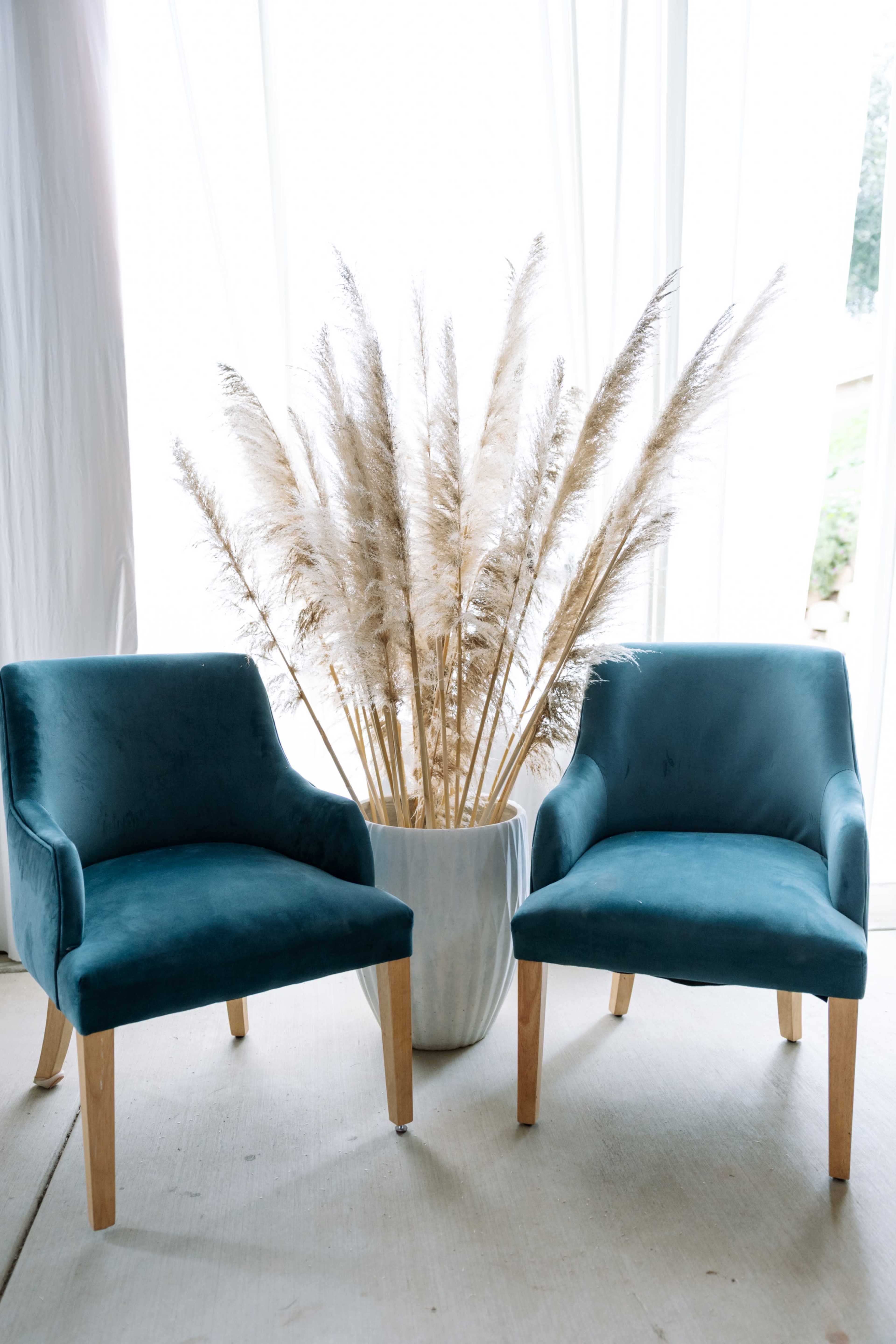 Two teal chairs with wooden legs are positioned beside a large pot filled with pampas grass, set against a backdrop of white drapery.