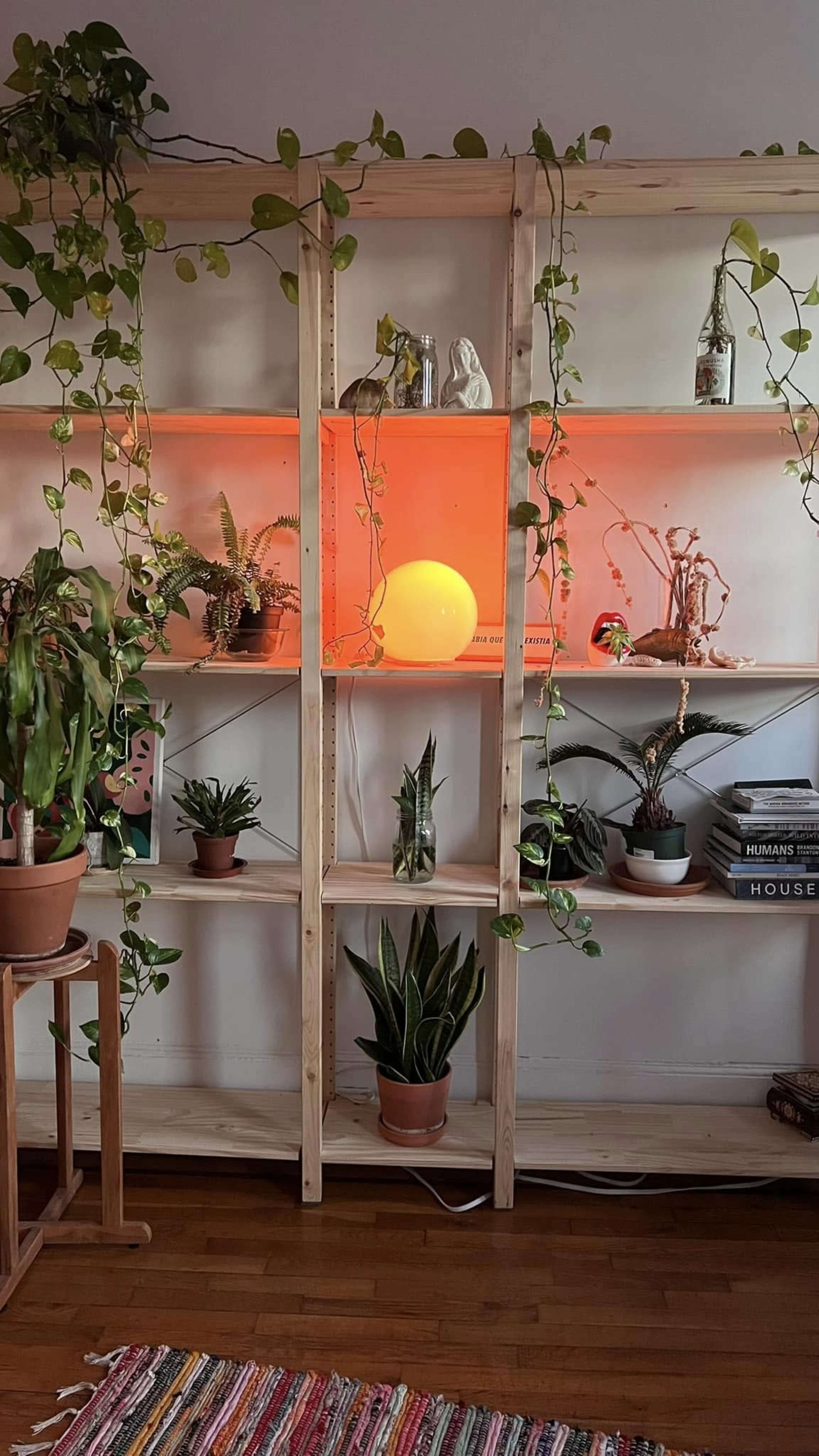 A wooden shelf unit with potted plants and a glowing orange orb is decorated with trailing vines and various items.