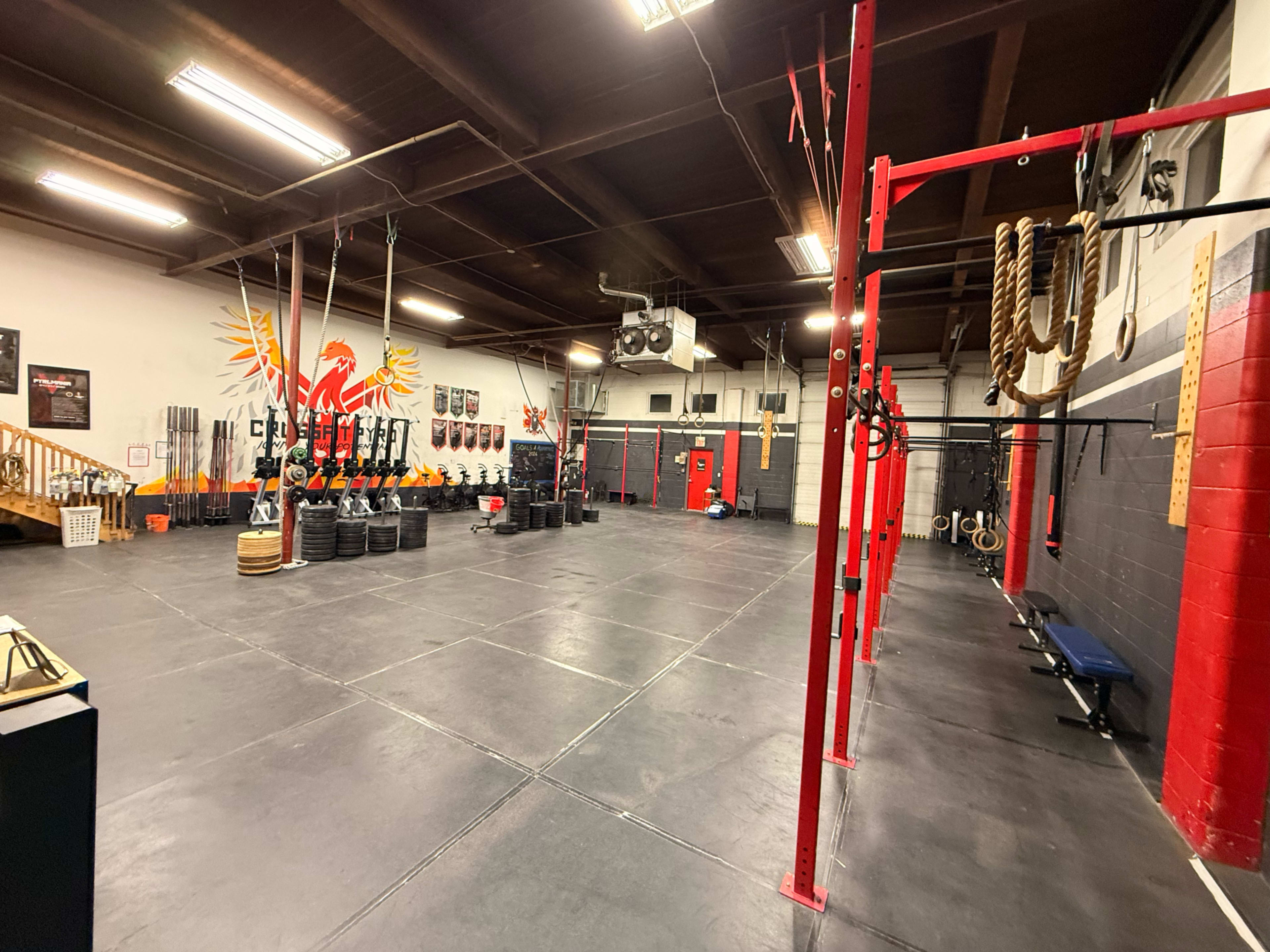 The image shows a spacious gym with a variety of fitness equipment, including weights, ropes, and exercise bars, set against a mural on the wall.