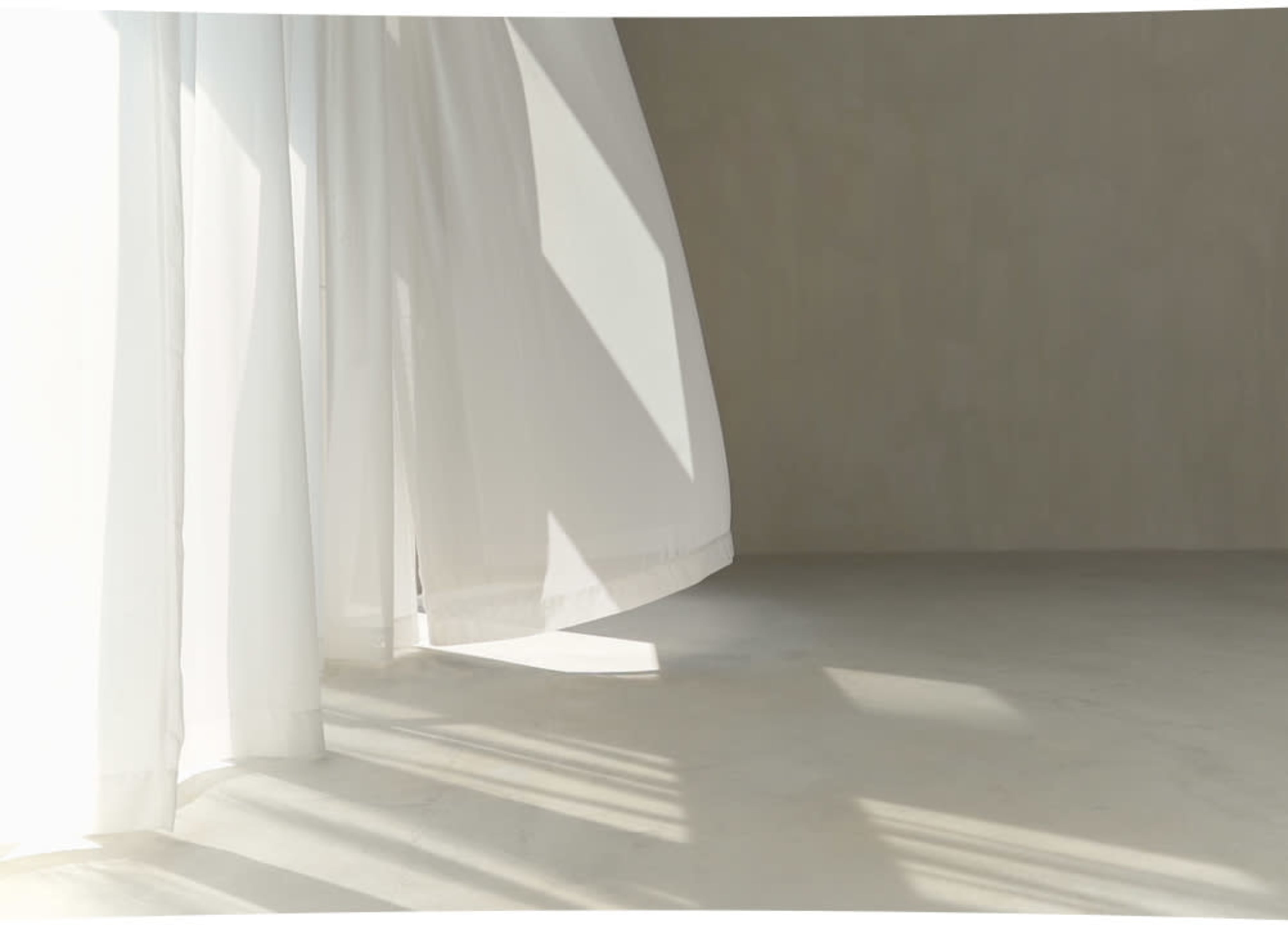 light-filled photo studio with limewashed walls Image in Meadows, Middleton, WI