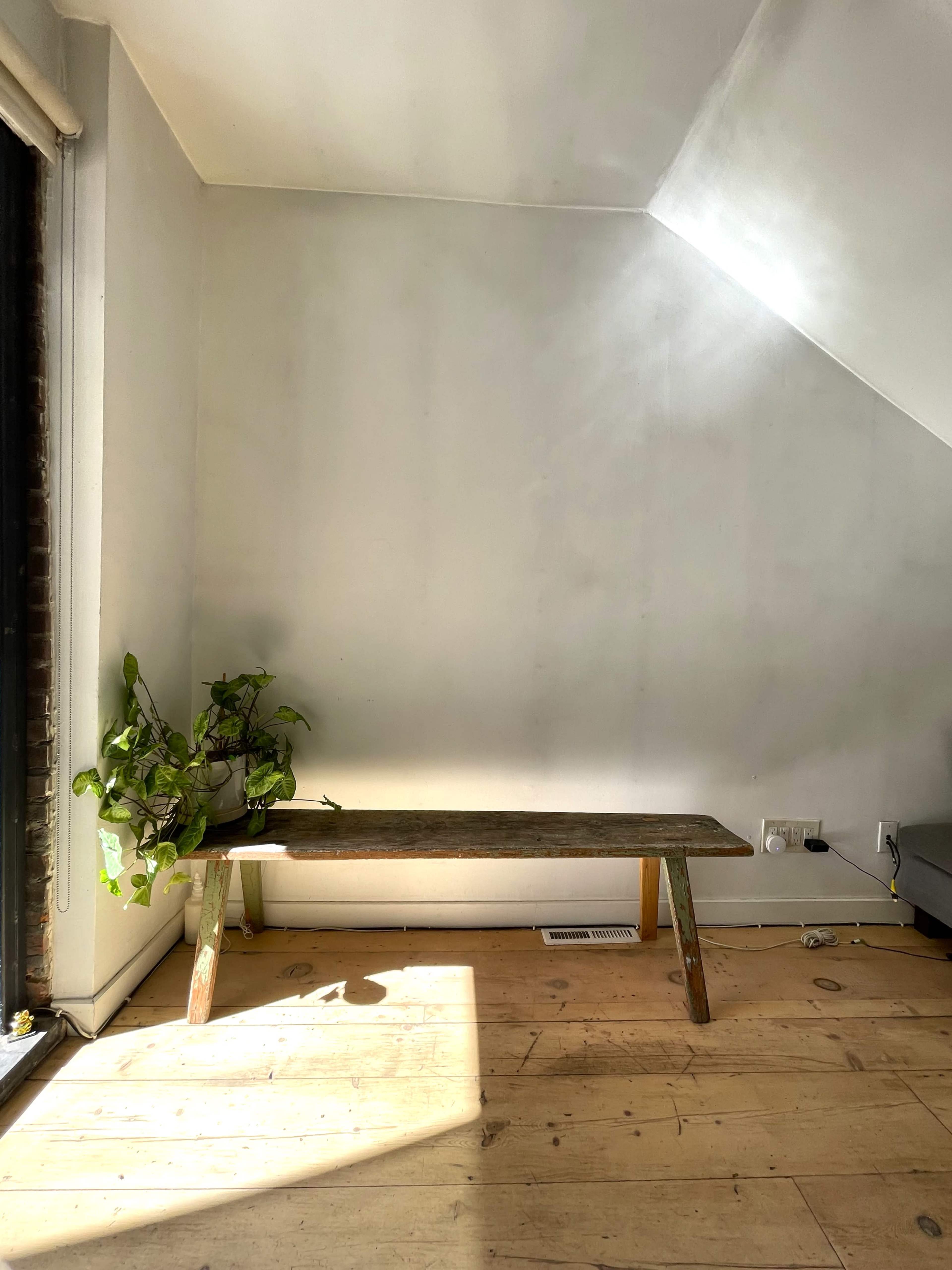 A wooden bench and a potted plant are positioned against a blank wall in a room with natural light.