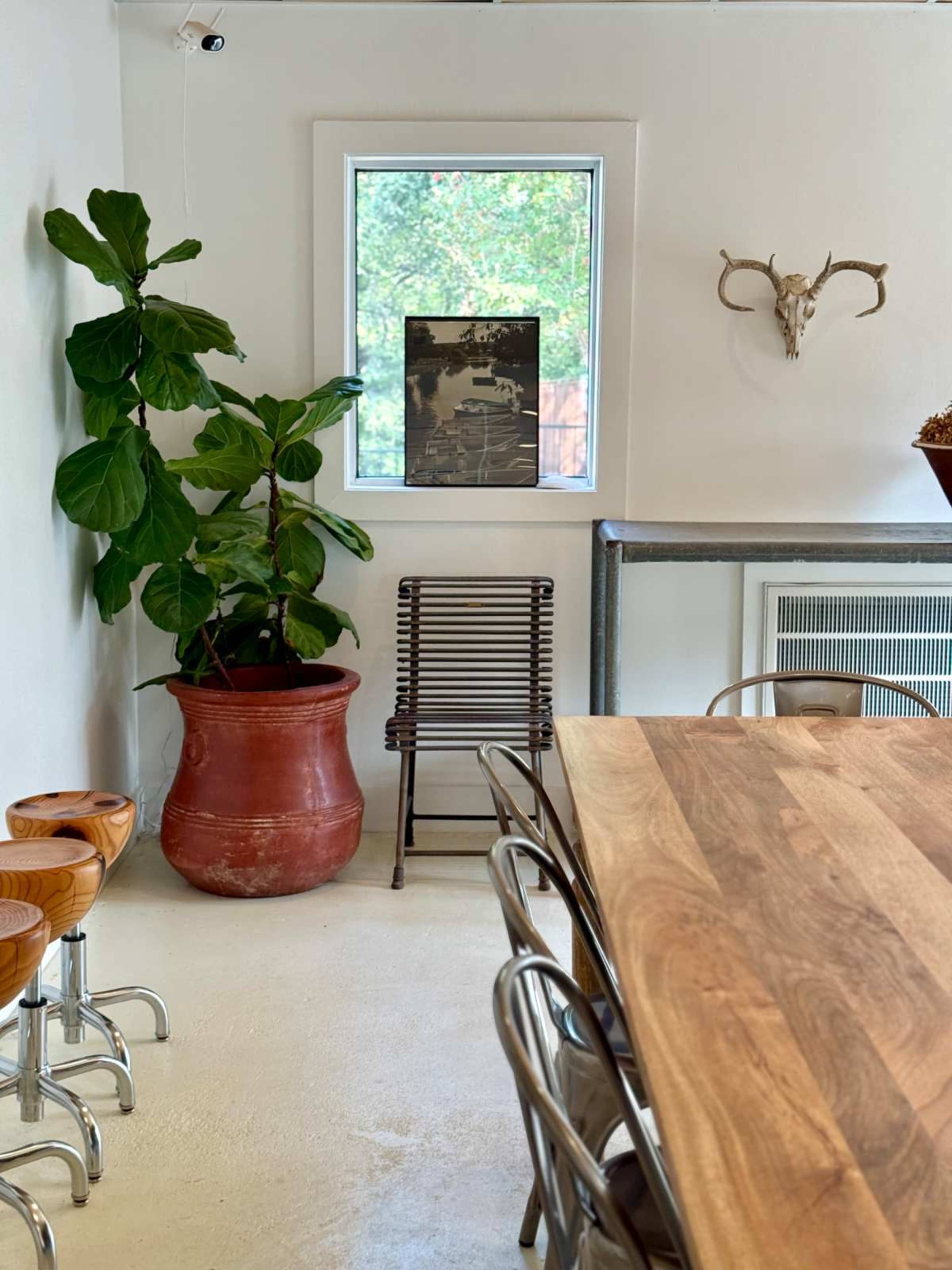 The image shows a minimalist room with a wooden table, metal chairs, a potted plant, a framed picture on the wall, and a decorative skull mounted above.