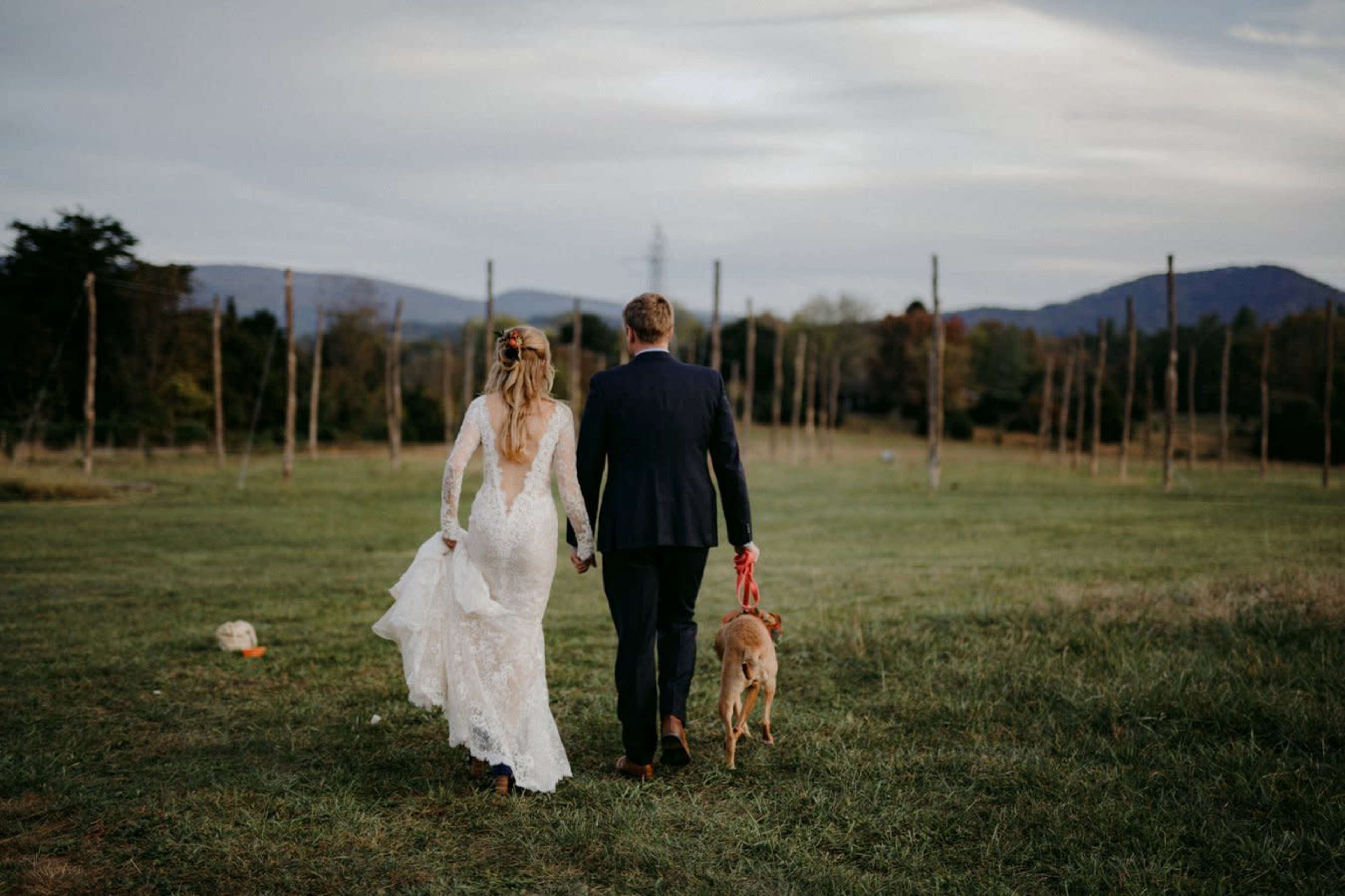 A bride and groom walk hand in hand with a dog in a grassy field surrounded by wooden posts and hills in the background.