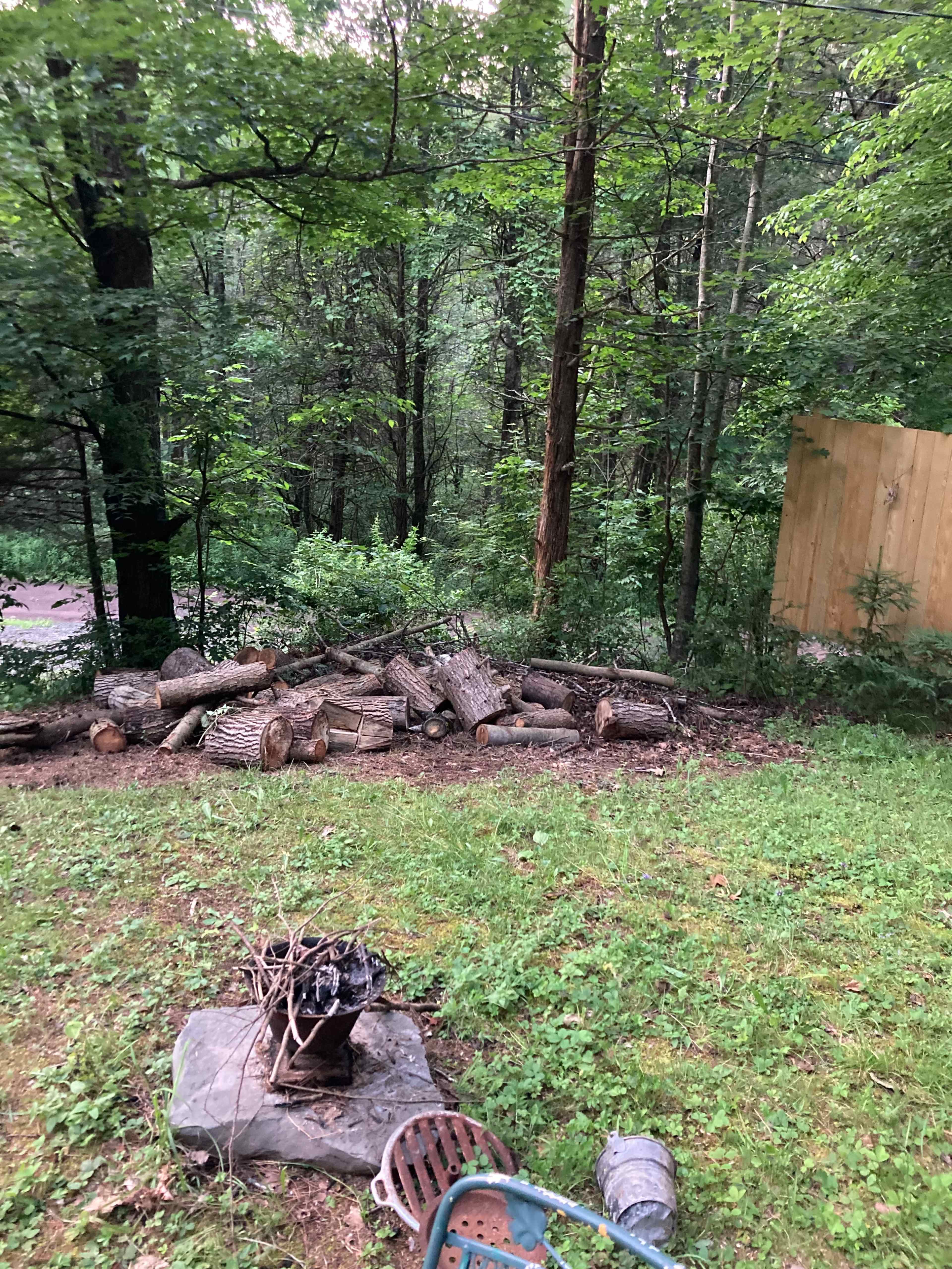 A pile of cut logs is stacked beside a fire pit in a wooded area with a clear view of trees and a path in the background.