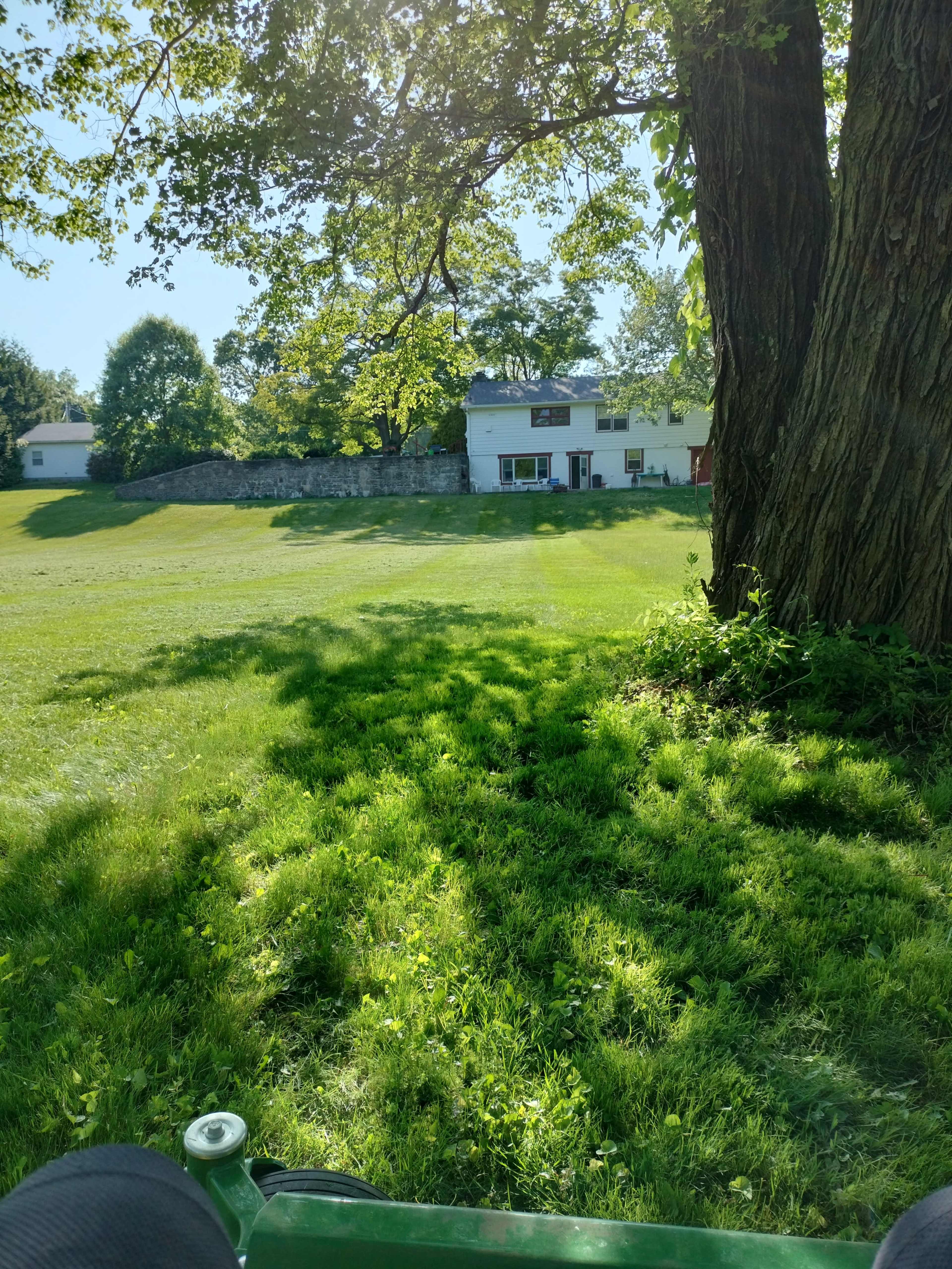 Country pastures, green heaven Image in Pomfret, Pomfret, CT