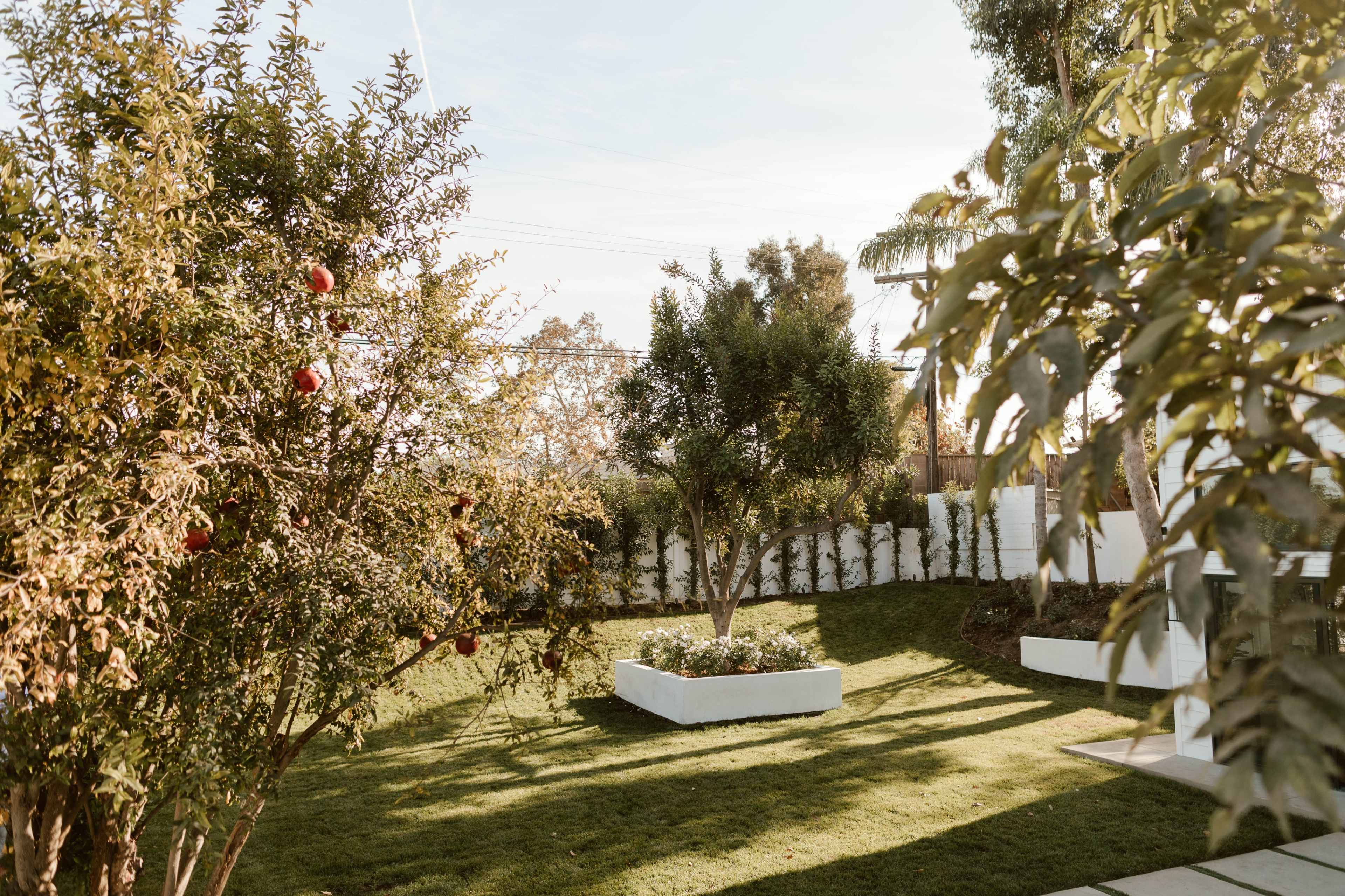 A landscaped garden with trees, a white planter, and a grassy area under a clear sky.
