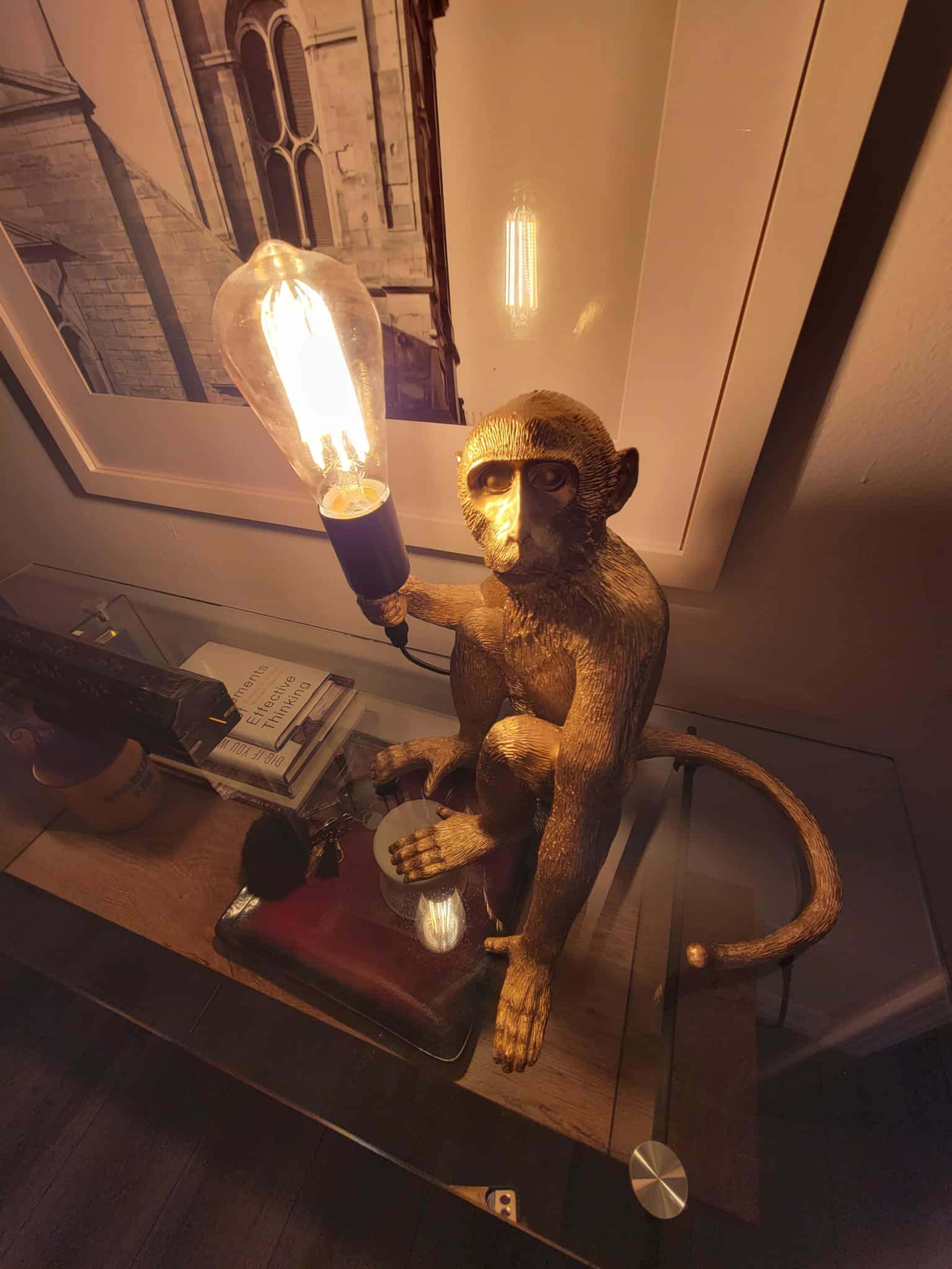 Scenic Hillside Retreat with Pool & Valley Views- Backyard + full downstairs Image in Woodland Hills, Woodland Hills, CA