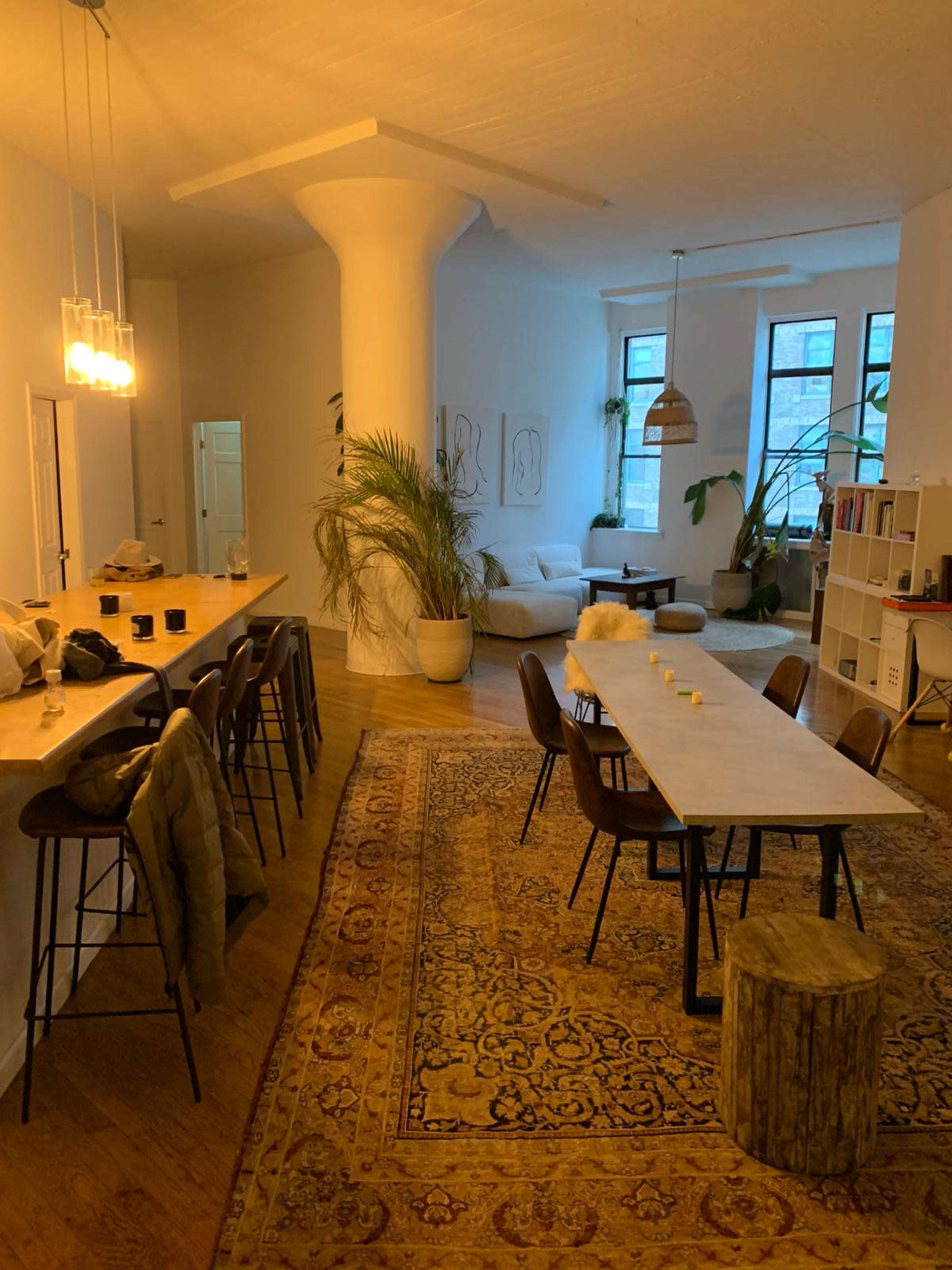 A spacious room with a dining area featuring a long table and bar stools, alongside a living space with a sofa and decorative plants.