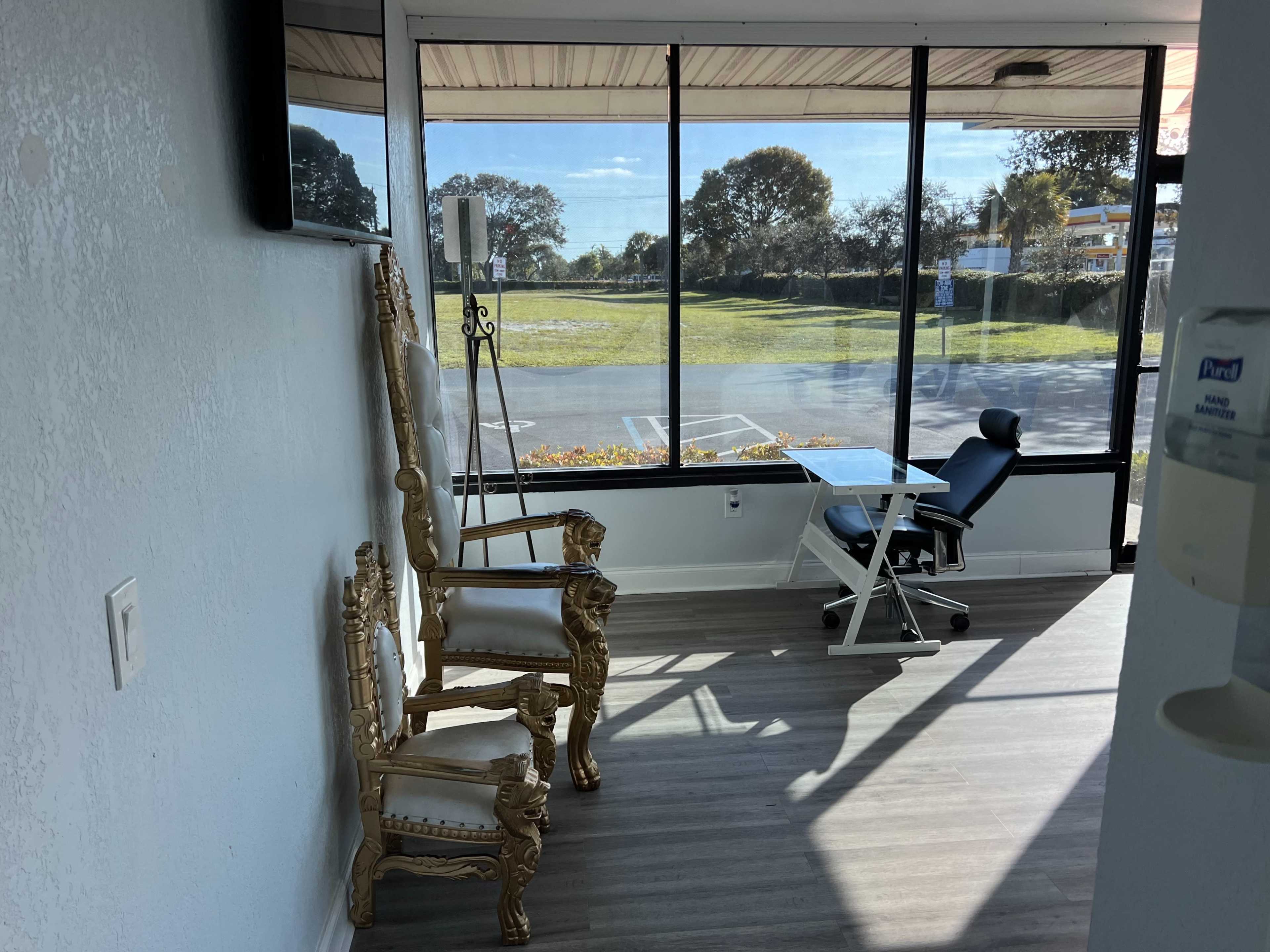 The image shows a bright room with two ornate chairs beside a medical examination chair, featuring large windows that overlook a green landscape.