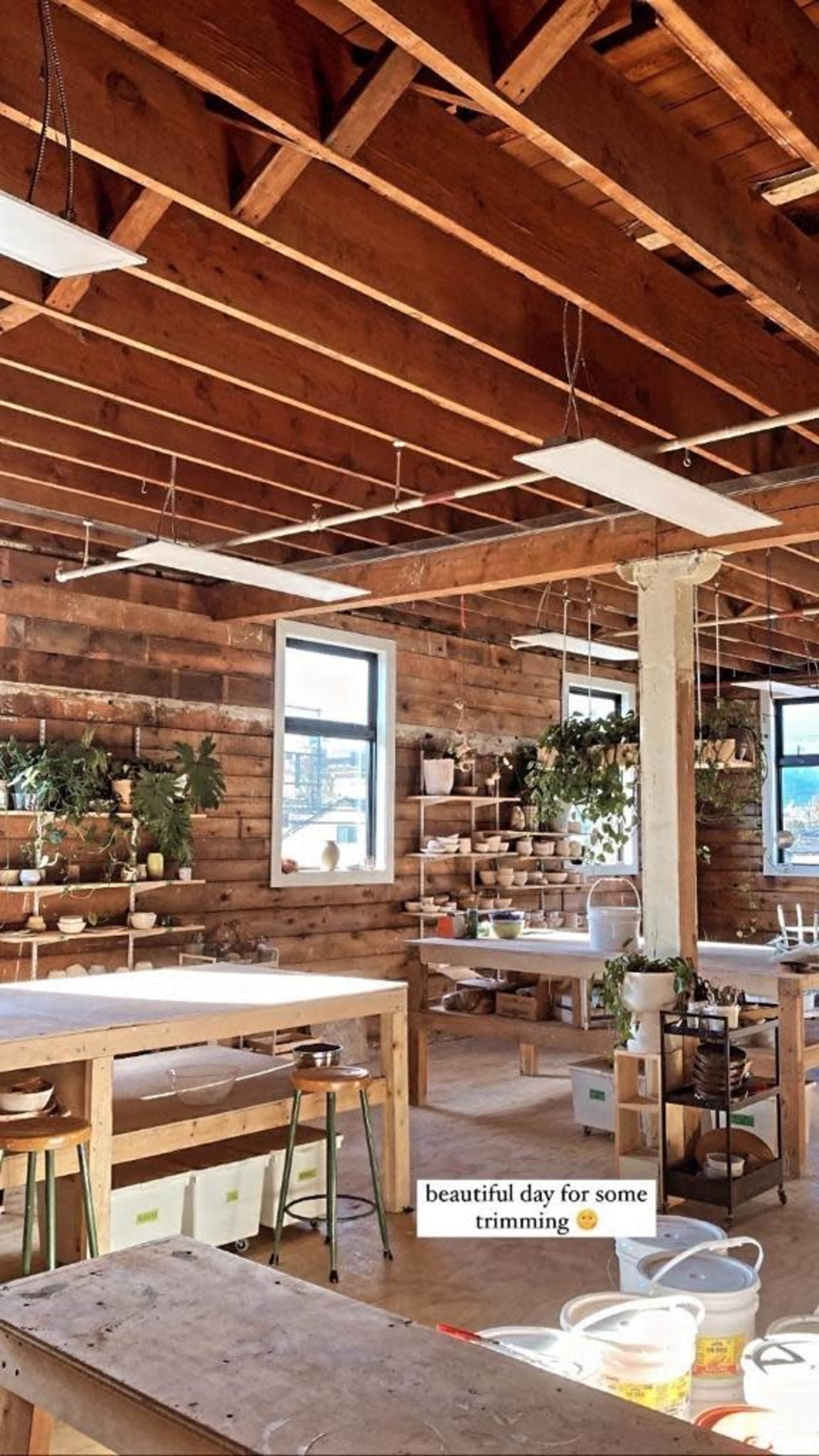 A bright interior space with wooden walls, shelves filled with plants, and work tables set up for trimming activities.