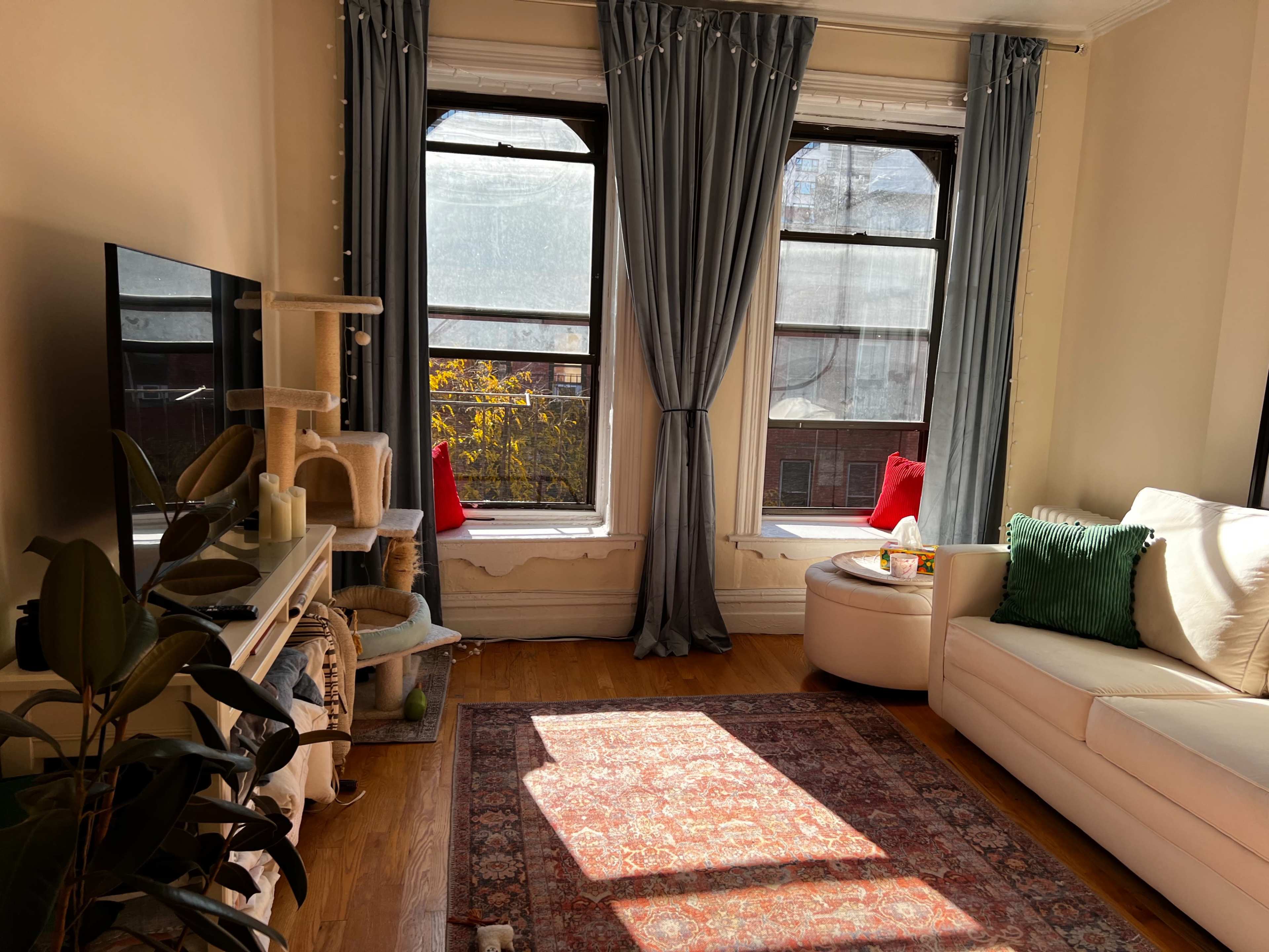 A bright living room features large windows with blue curtains, a white sofa, and a patterned area rug on wooden floors.