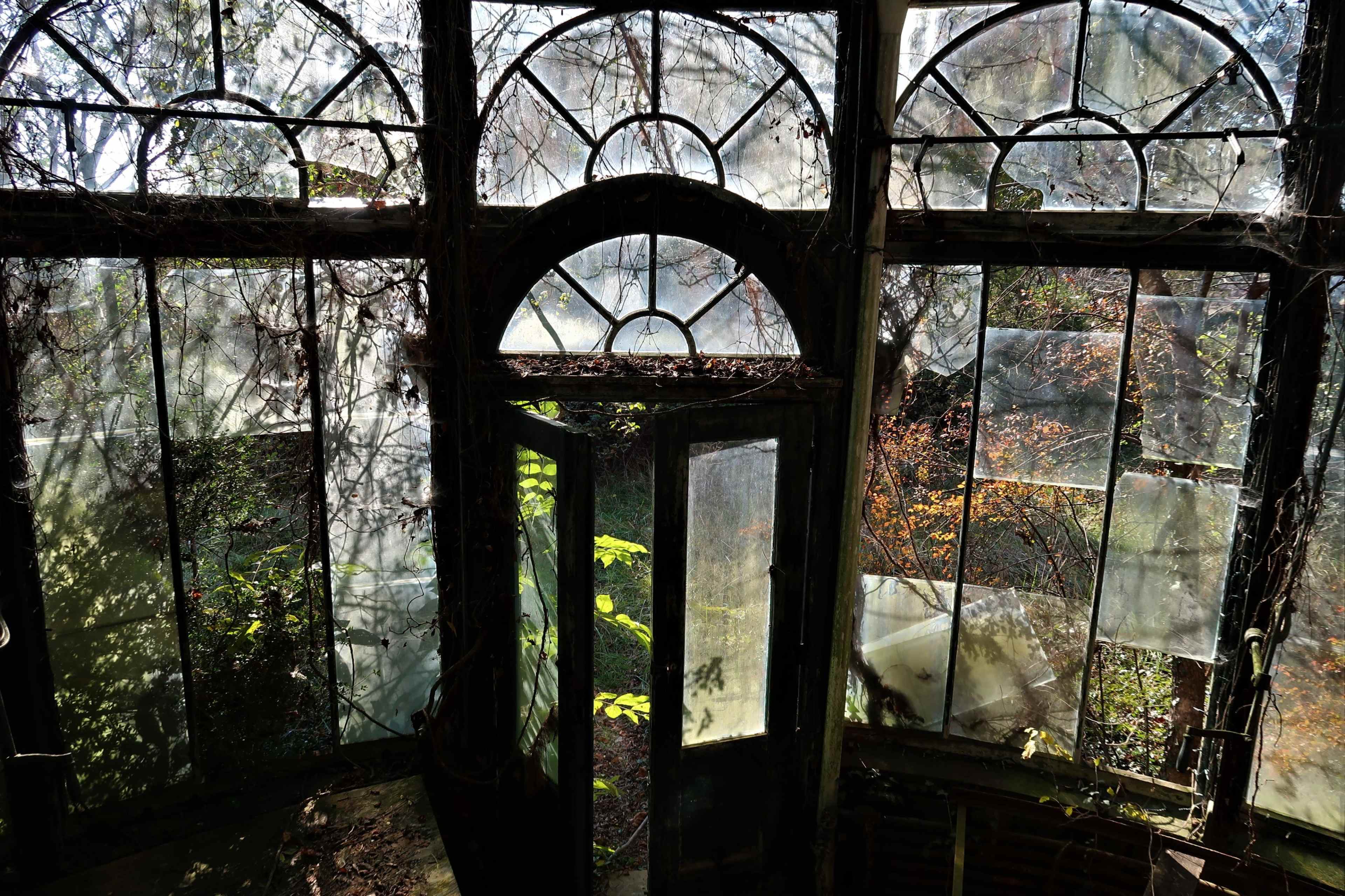A dilapidated glass structure is overgrown with vines, featuring shattered windows and an open door leading to a lush, green landscape outside.