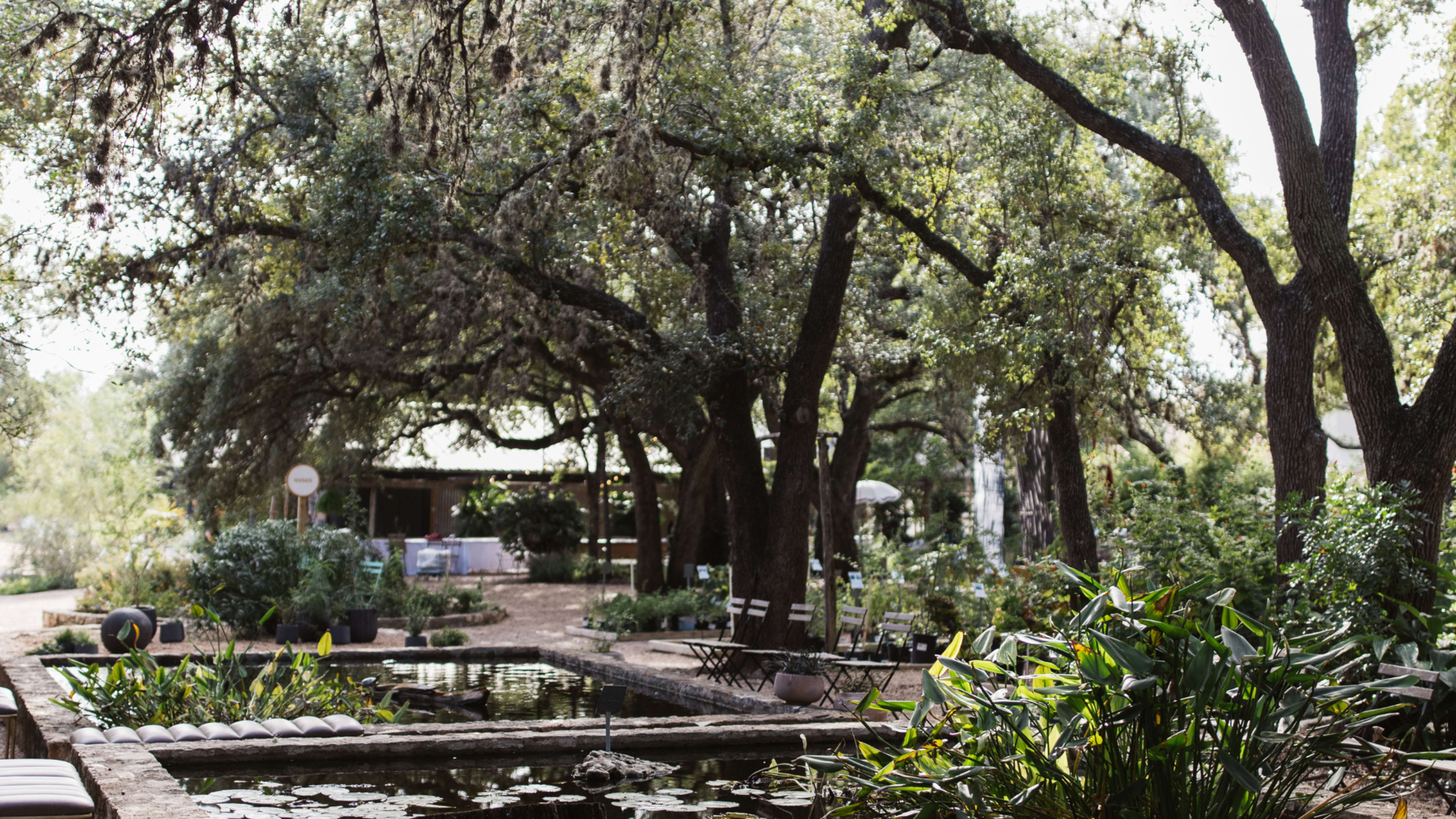 A landscaped garden features a serene pond surrounded by trees and plants.