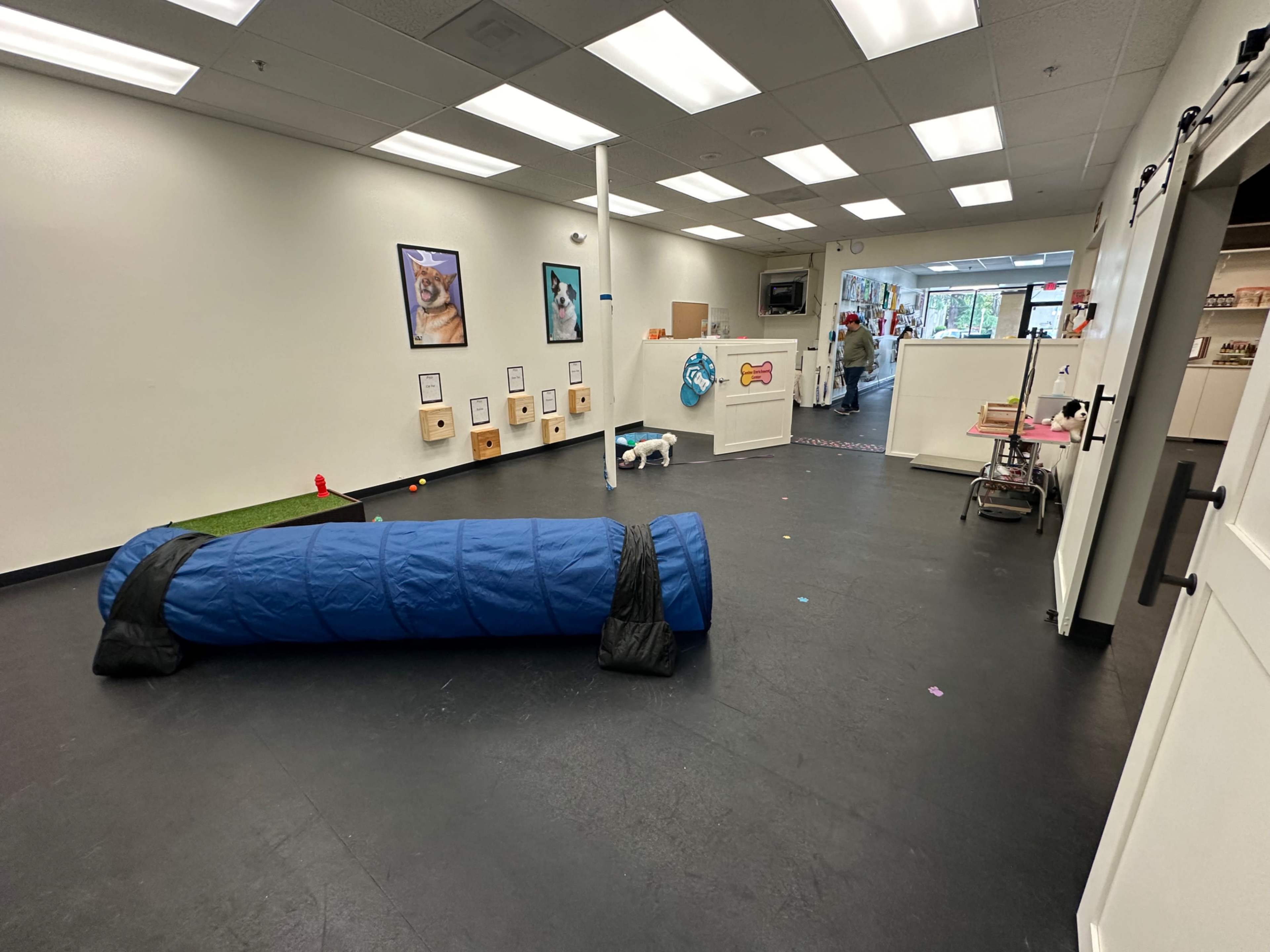 The image shows a spacious indoor pet play area featuring a blue tunnel, framed pictures on the walls, and various pet toys scattered on the black floor.