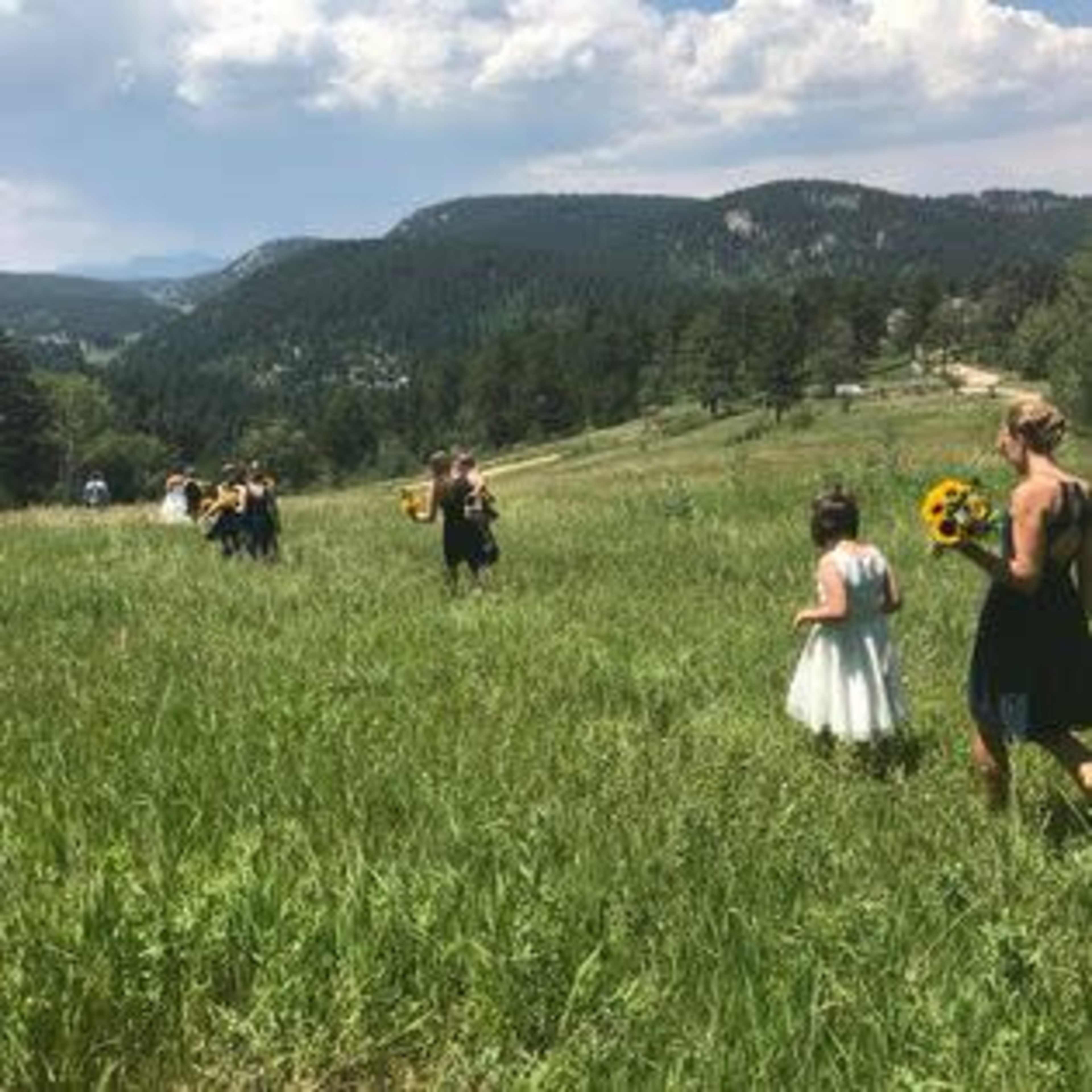 A group of people dressed in formal attire walks through a grassy field with mountains in the background.