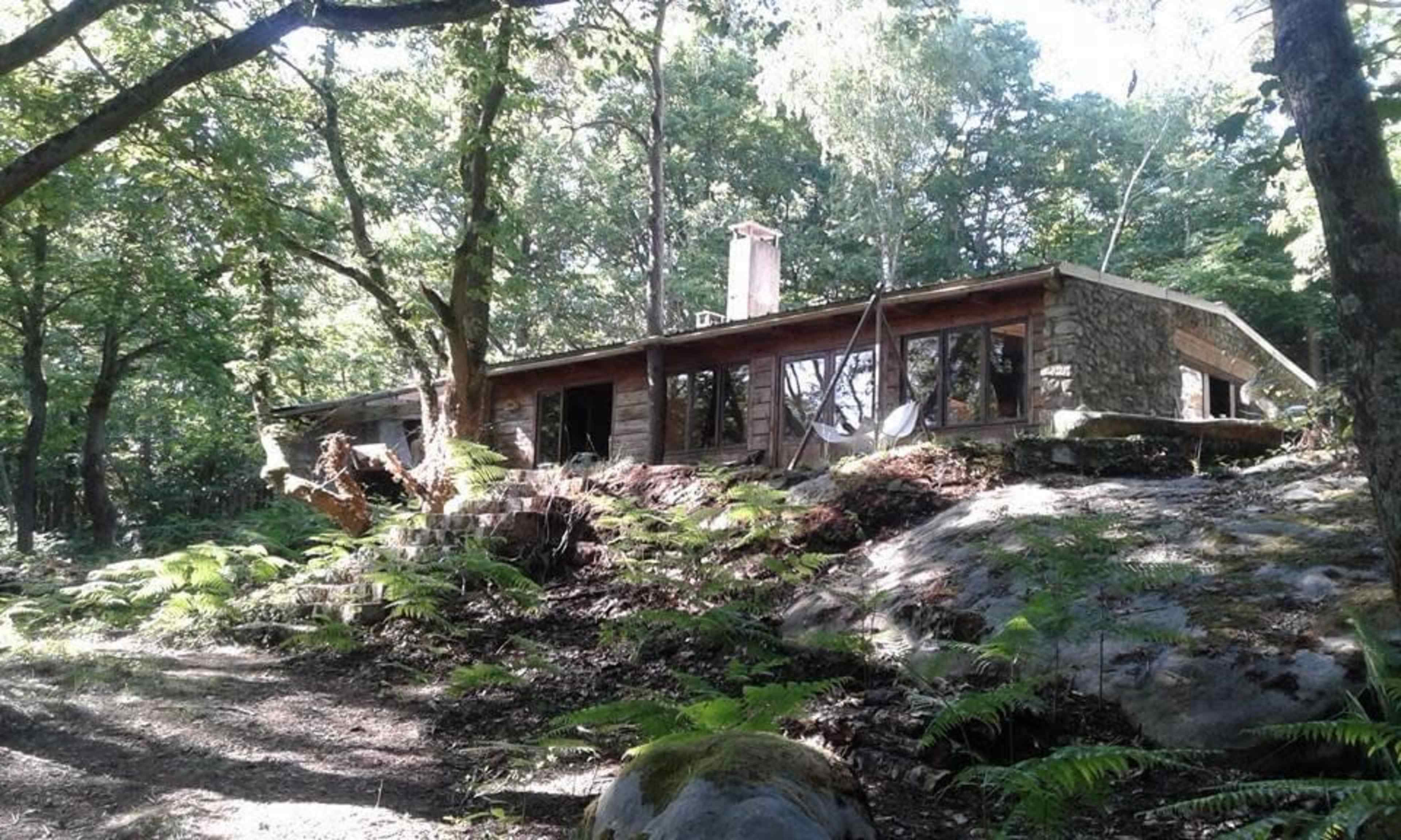 A single-story house with wooden and stone elements is nestled among trees and ferns in a forested area.