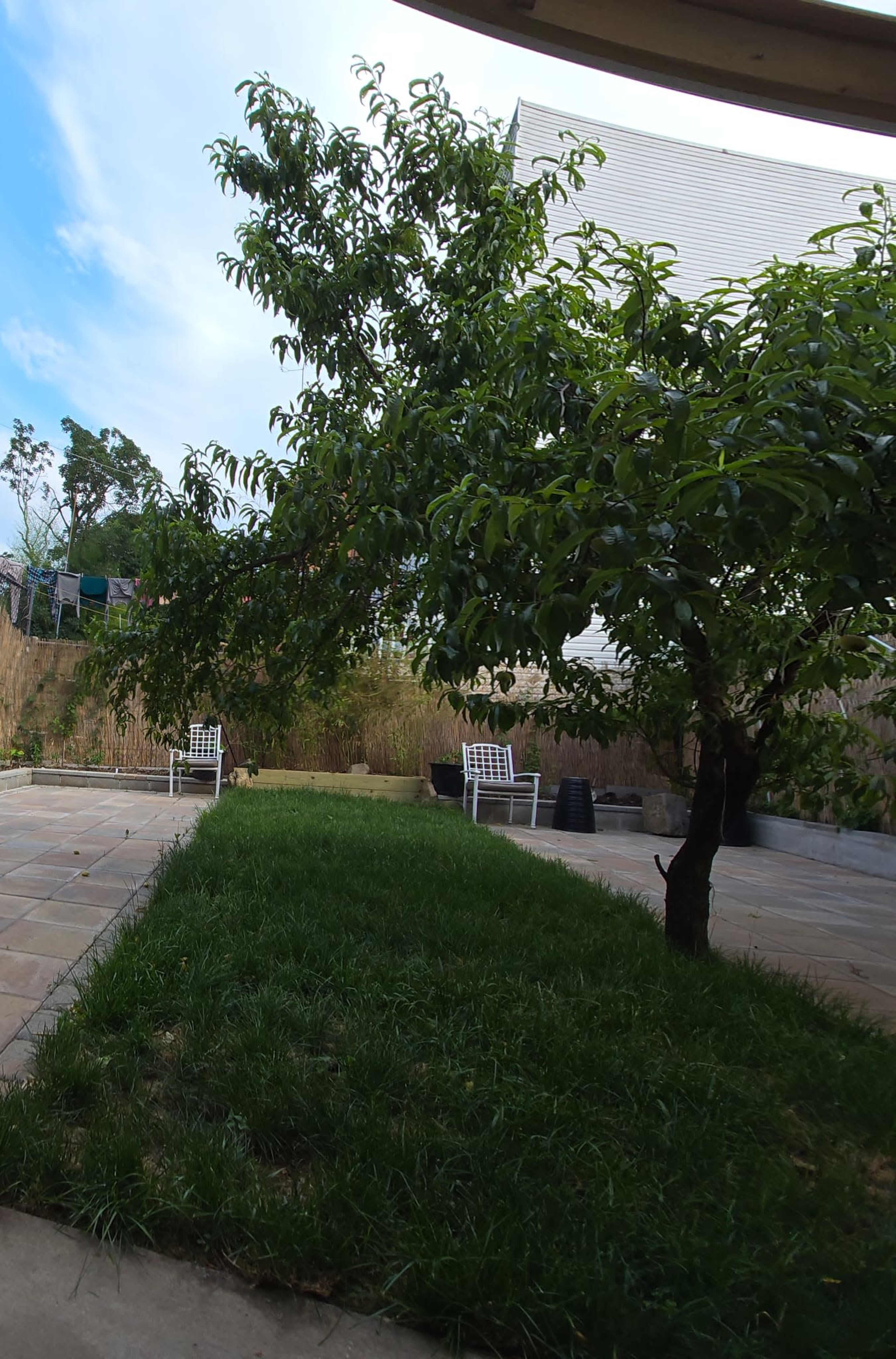 Outdoor Space with Grand Appeal Image in South Side, Mount Vernon, NY